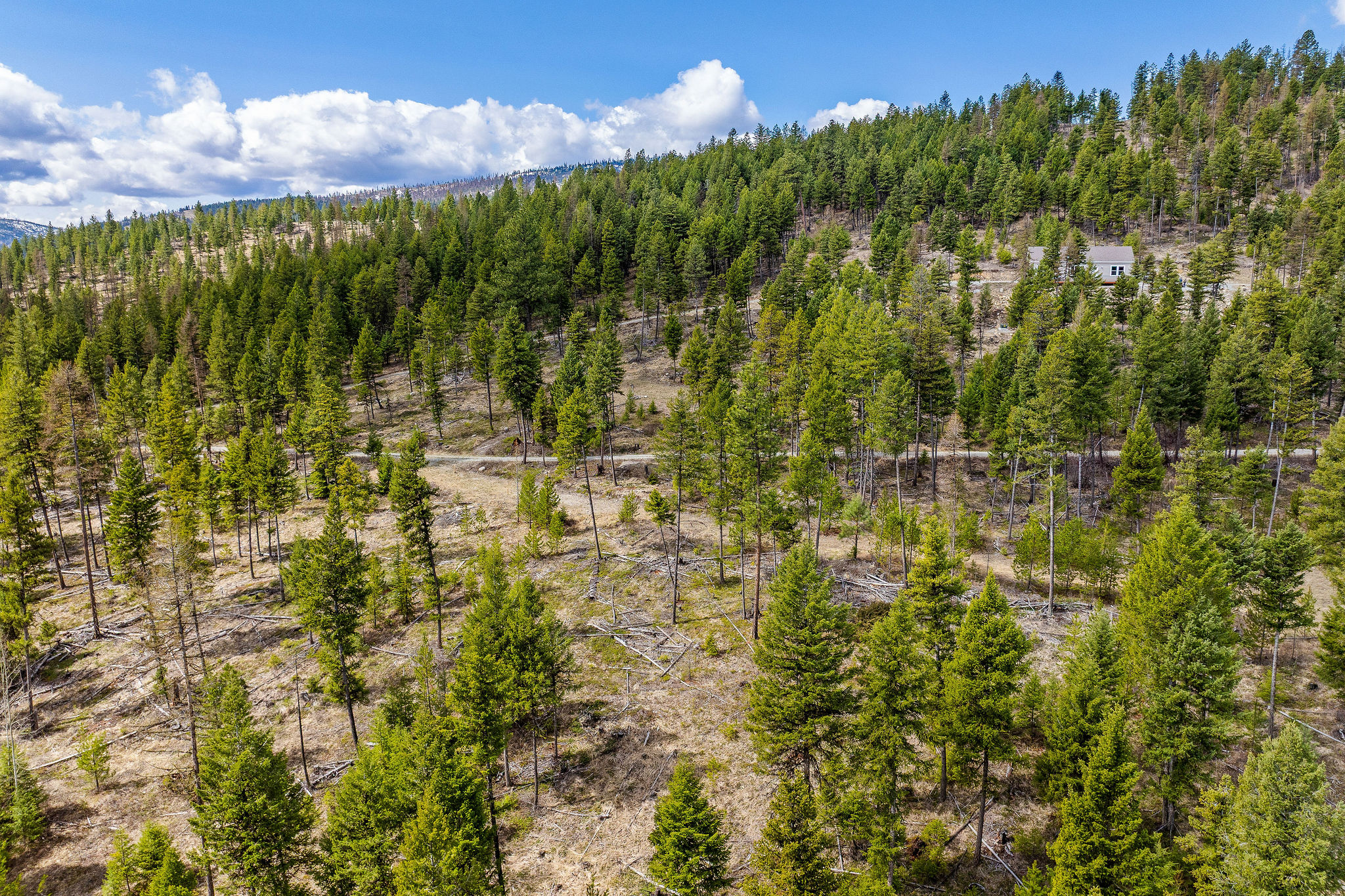 87 Hodge Ridge Property Photo 50