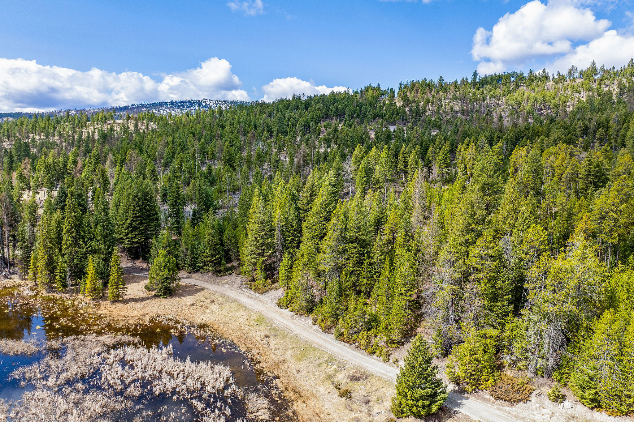 87 Hodge Ridge Property Photo 51