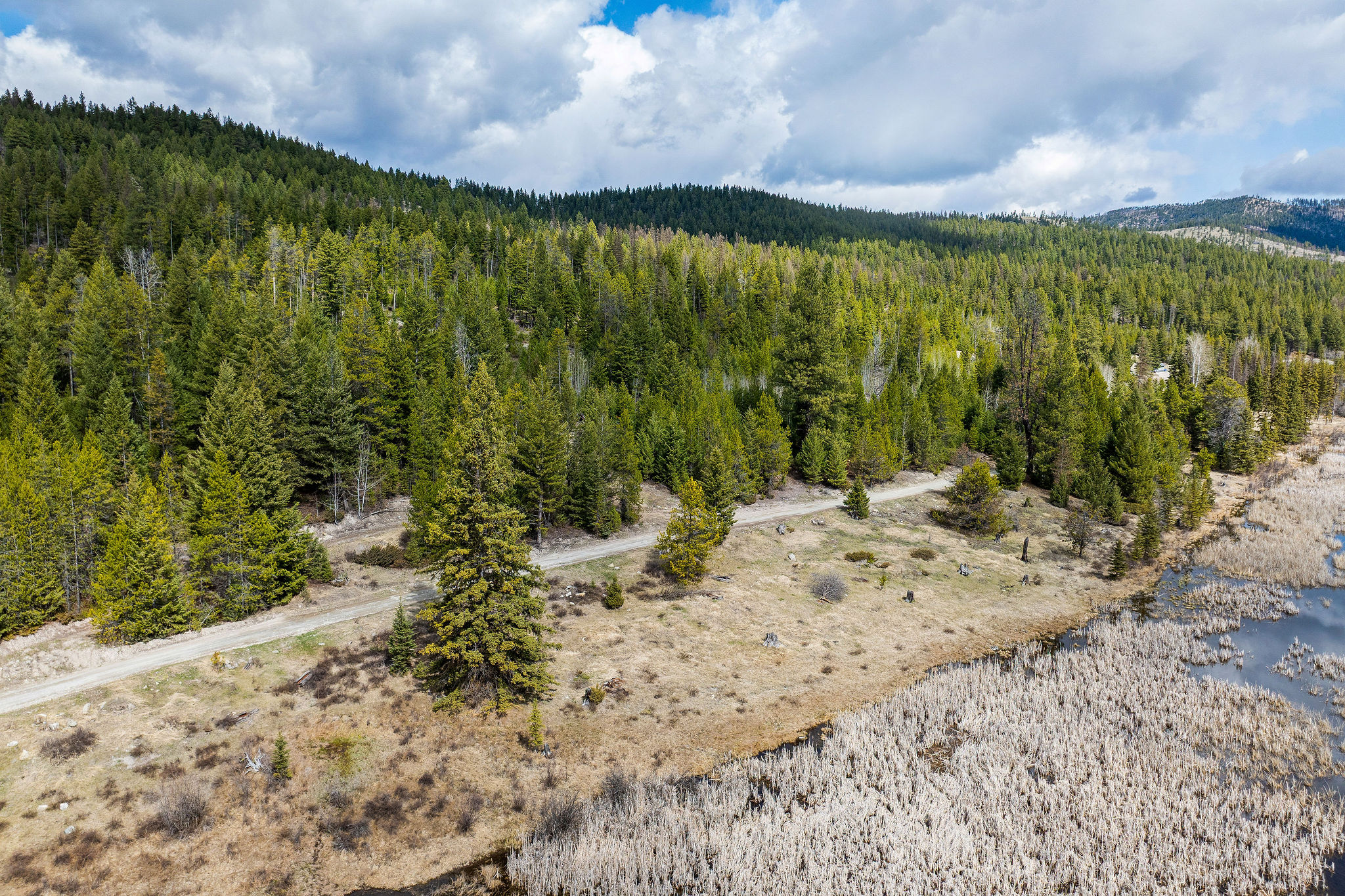 87 Hodge Ridge Property Photo 52