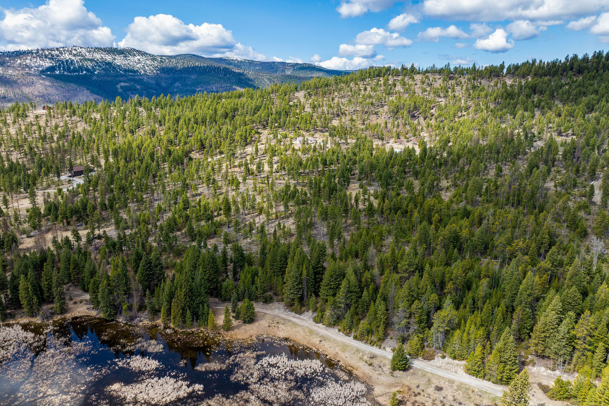 87 Hodge Ridge Property Photo 53