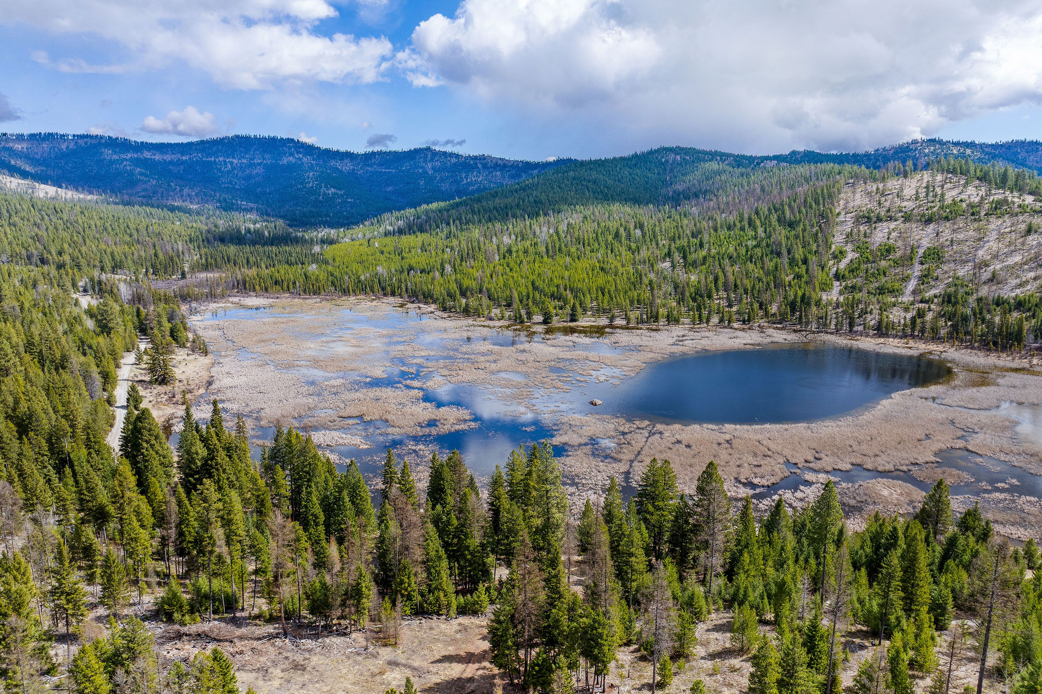 87 Hodge Ridge Property Photo 57
