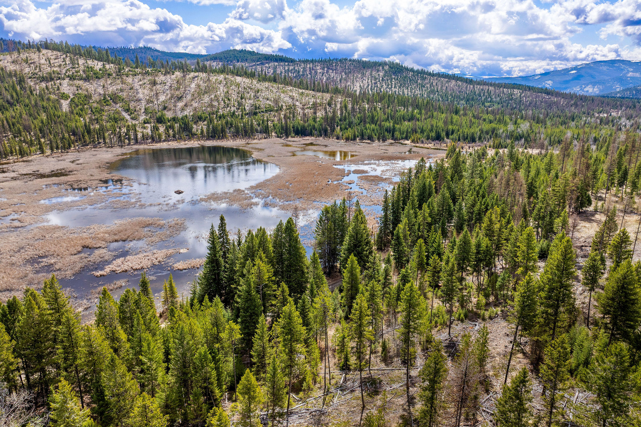 87 Hodge Ridge Property Photo 58