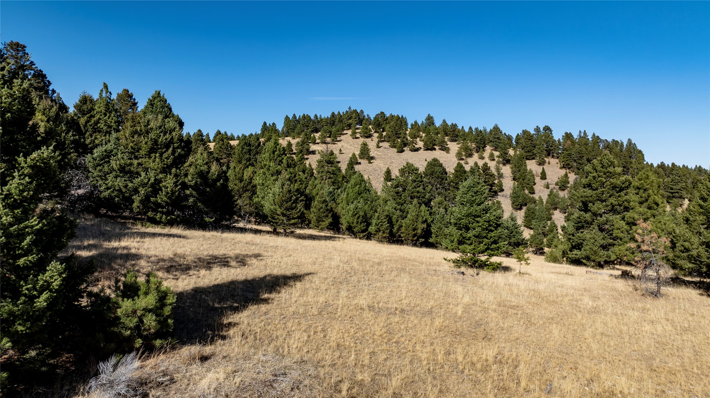37 Elkhorn Mountain View Road Property Photo