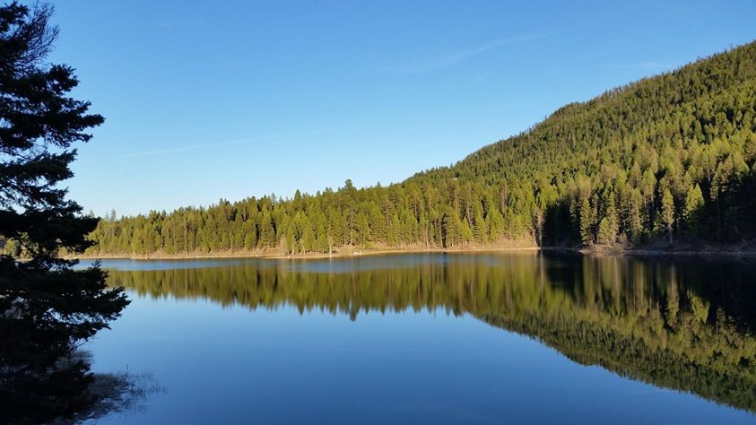488 Emerald Lake Loop Property Photo 1