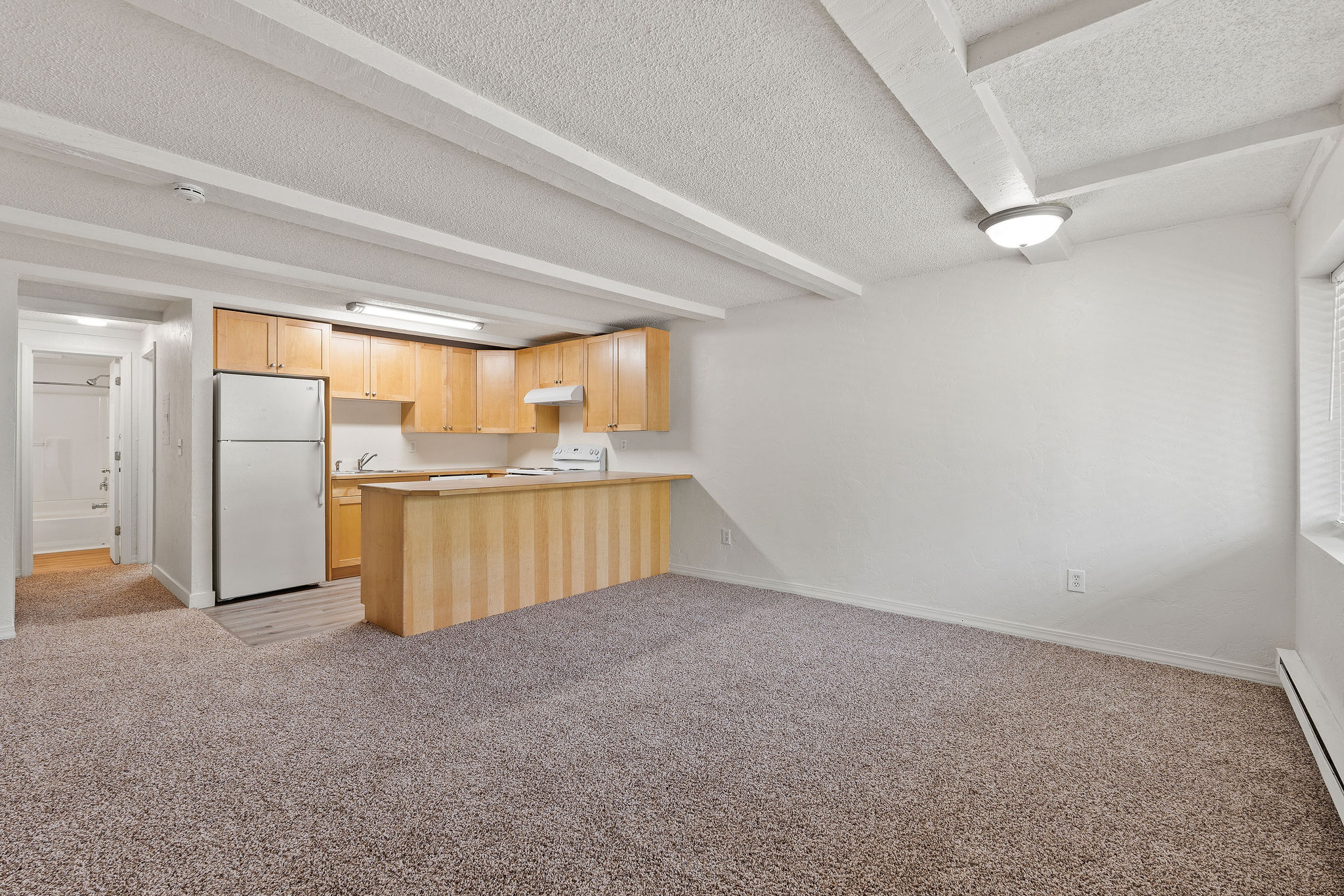 121 Iowa Avenue 1g Property Photo 5