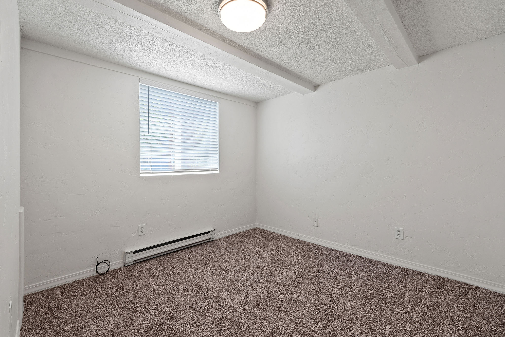 121 Iowa Avenue 1g Property Photo 13