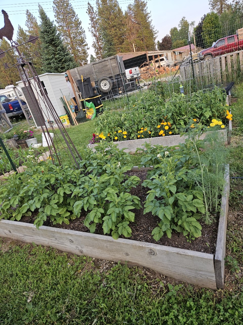 57 Fir Street Property Photo 6