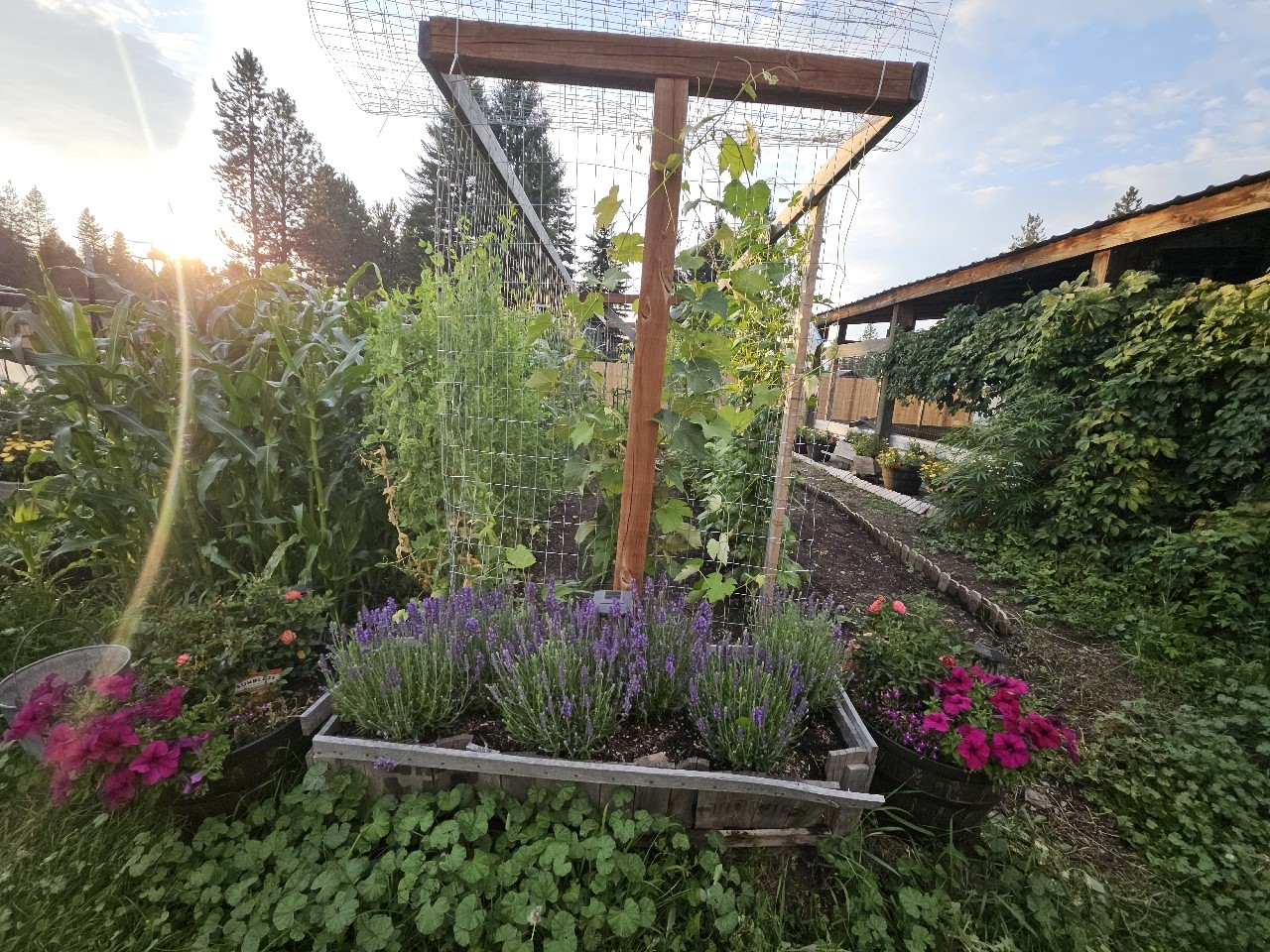 57 Fir Street Property Photo 71