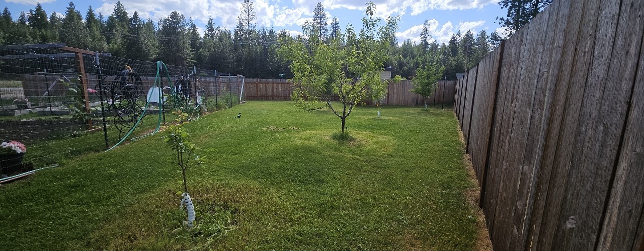 57 Fir Street Property Photo 74