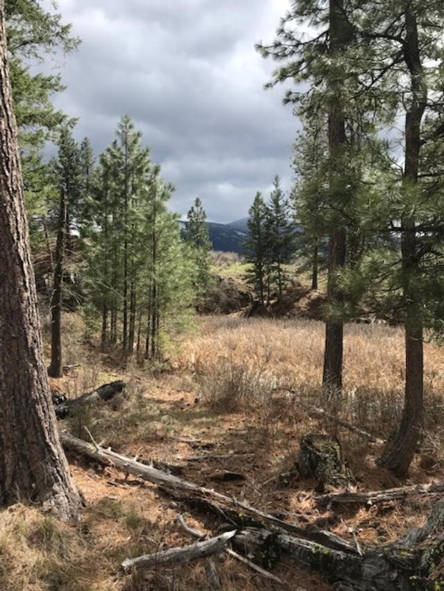 Nkn W Fork Combest Creek Road Property Photo 13