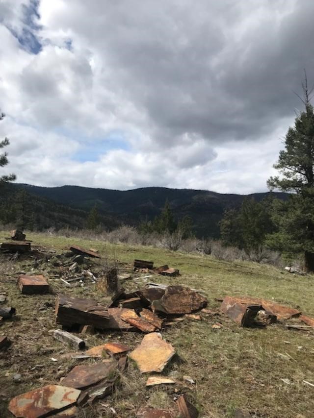 Nkn W Fork Combest Creek Road Property Photo 14