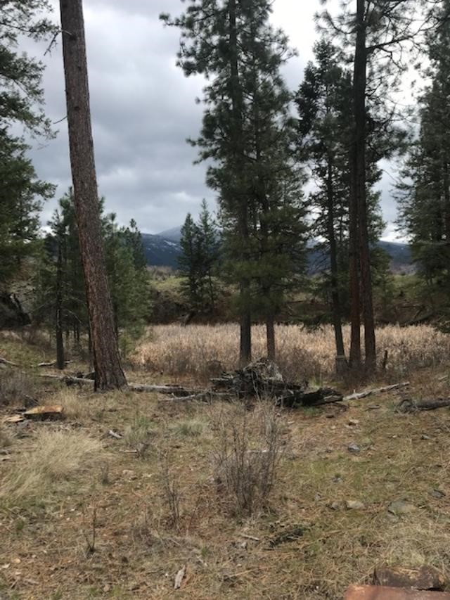Nkn W Fork Combest Creek Road Property Photo 15