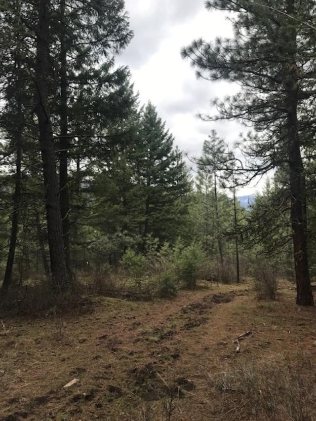 Nkn W Fork Combest Creek Road Property Photo 17