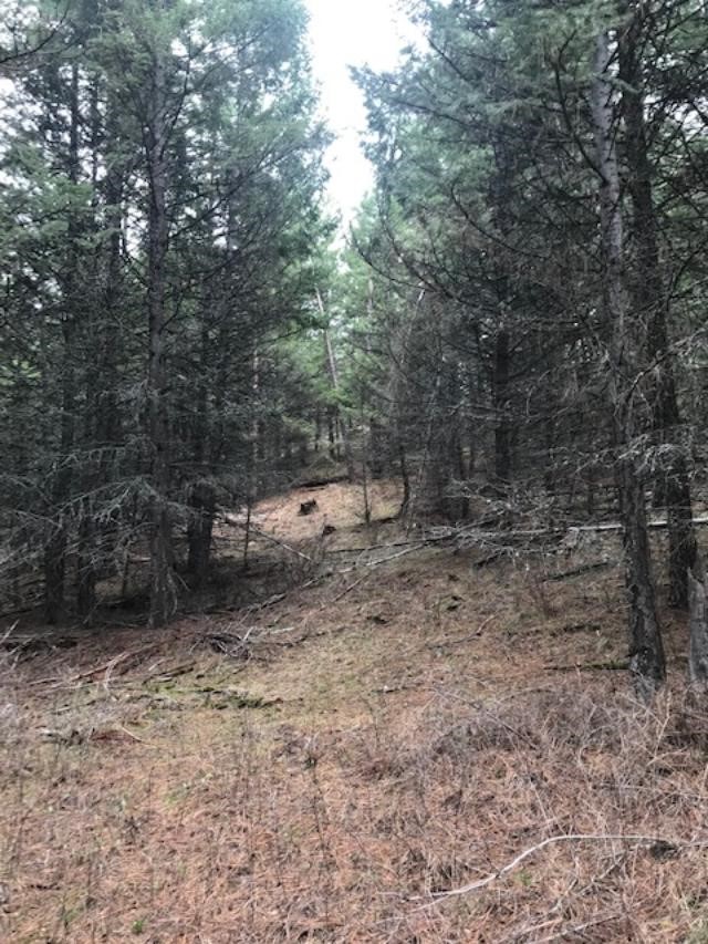Nkn W Fork Combest Creek Road Property Photo 18