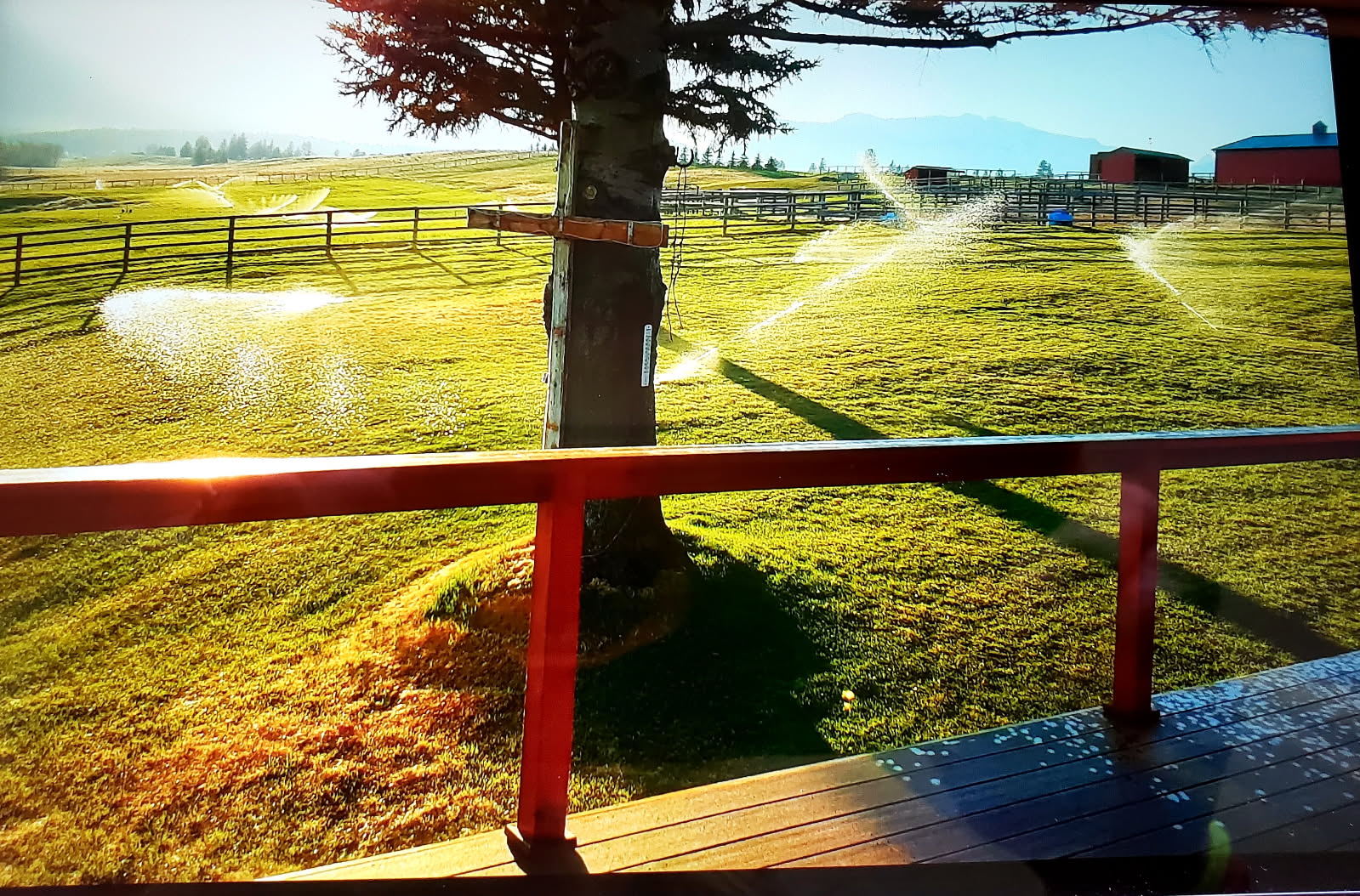 1335 Country Road Property Photo 72