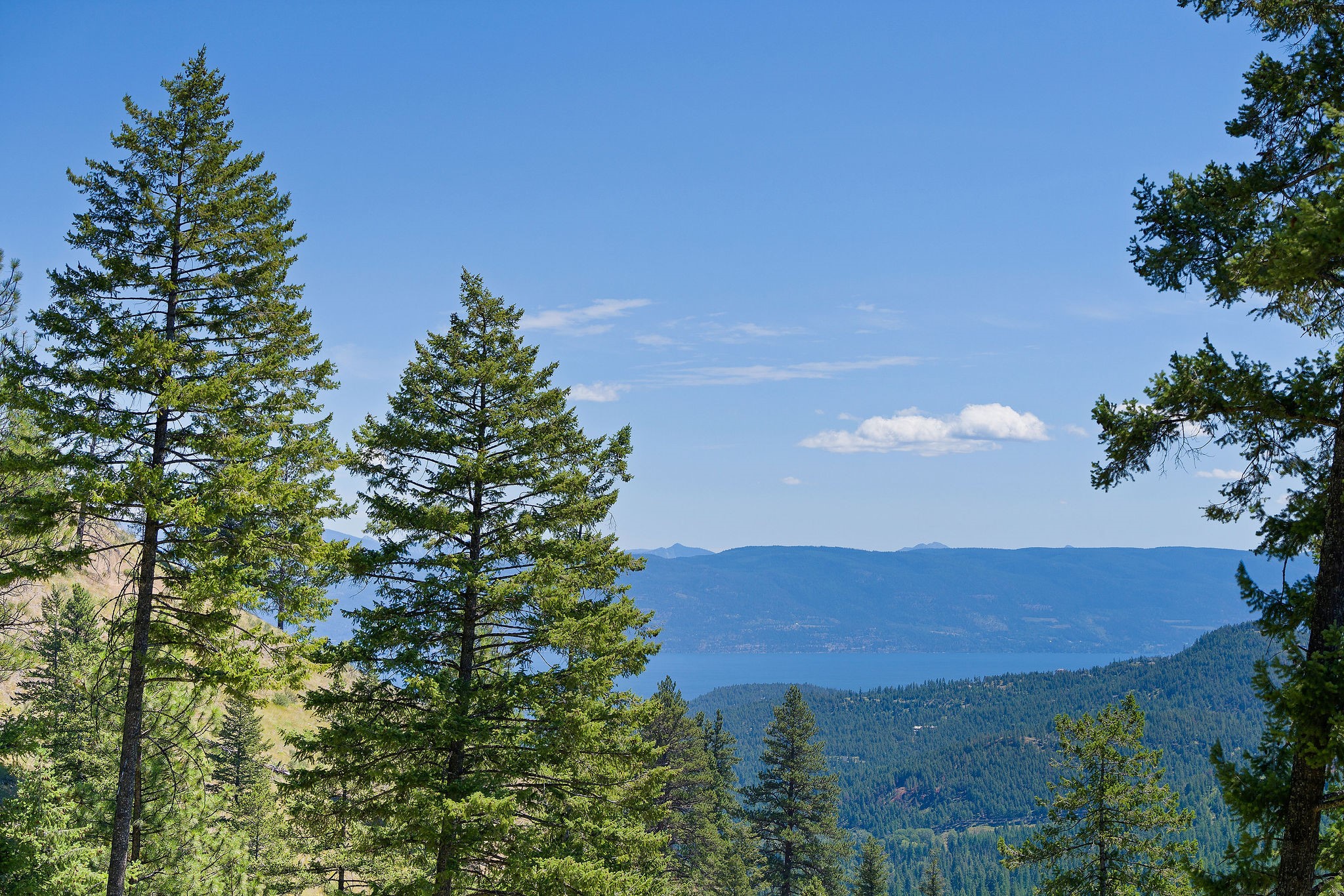 1555 Blacktail Road Property Photo 1