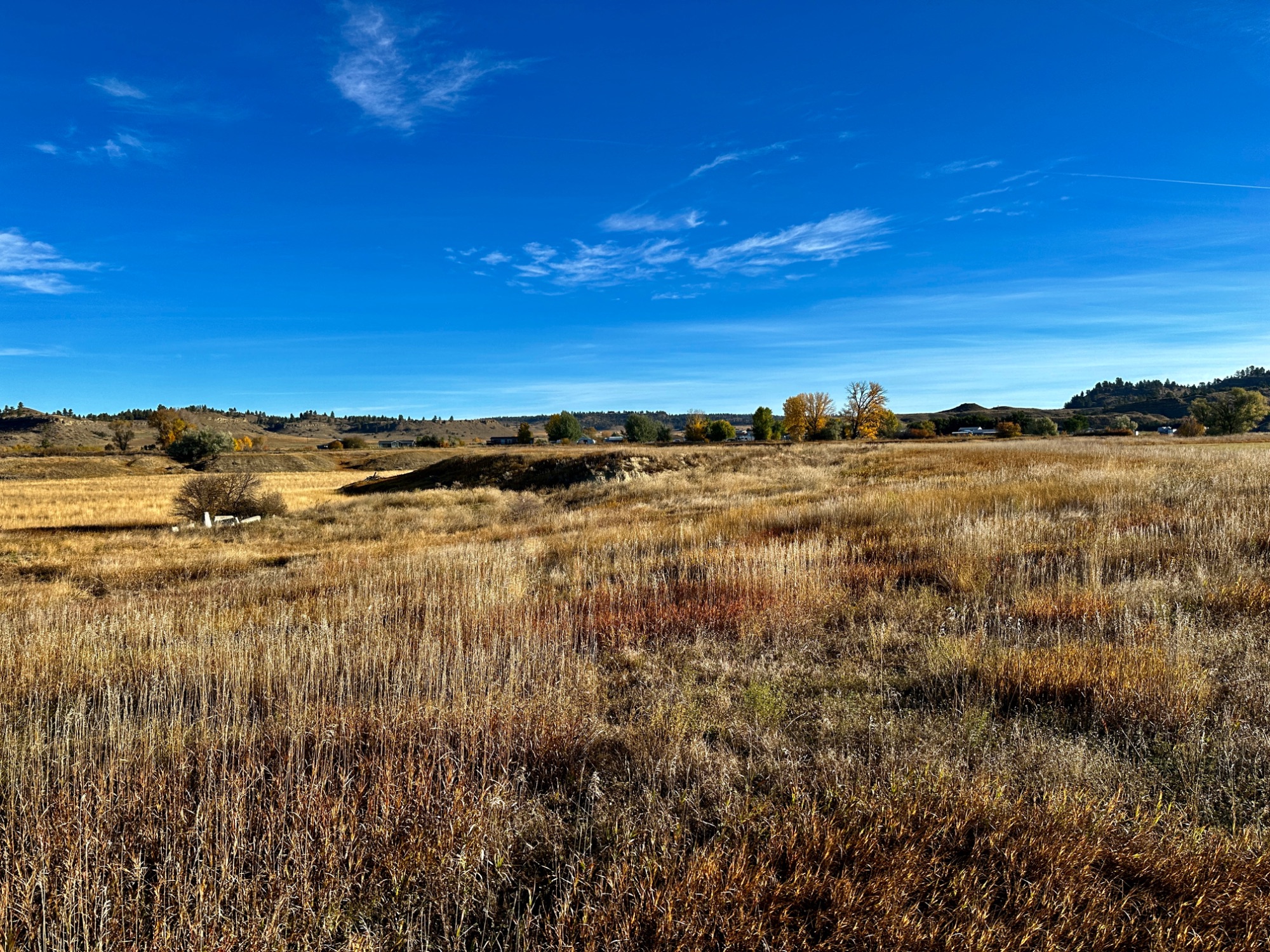 Tbd Centennial Road Property Photo 19