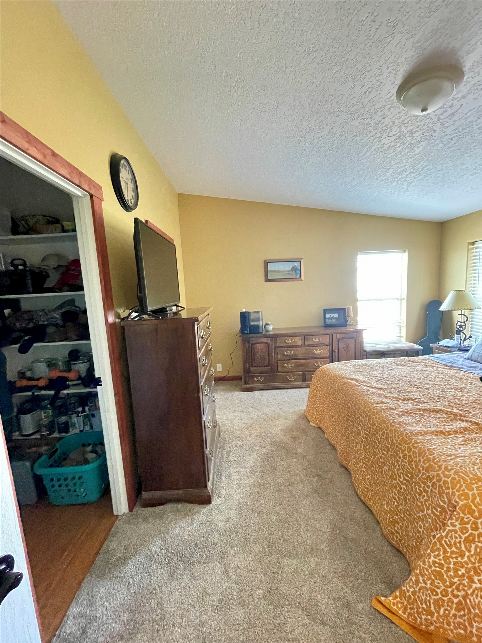 105 Mt-80 Property Photo 9