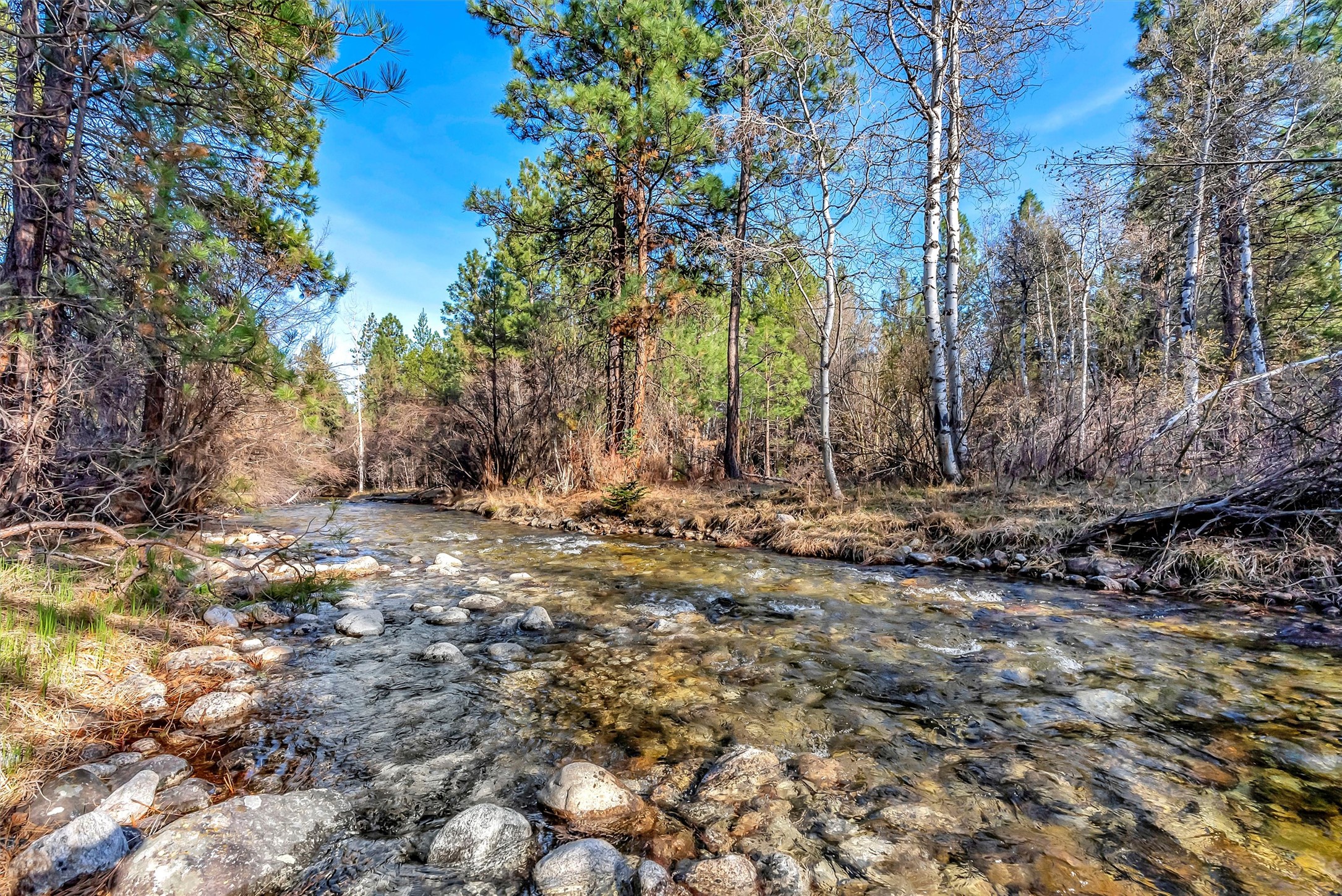 2120 Middle Bear Creek Road Property Photo 1