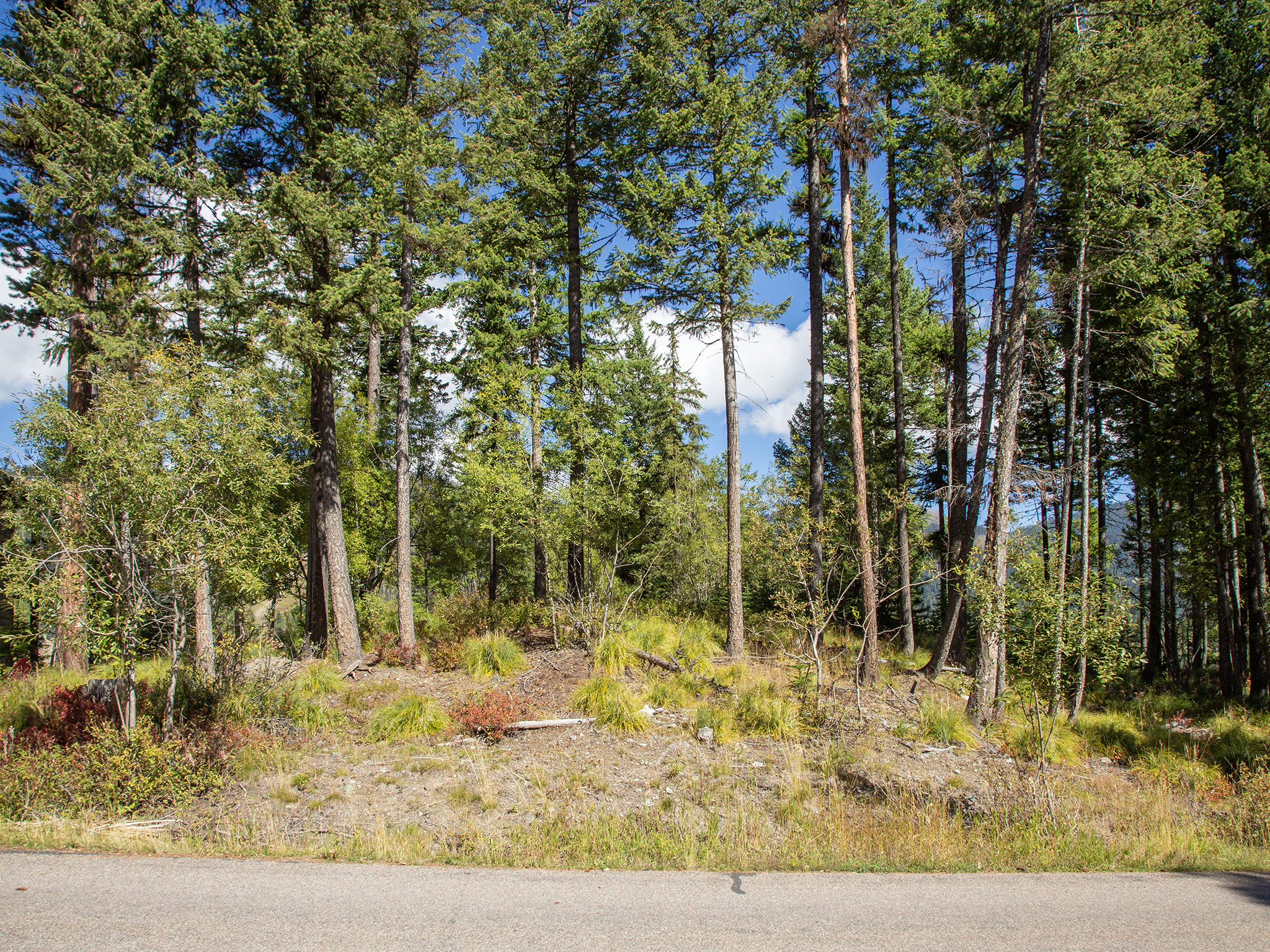 128 Ridge Run Drive Property Photo 6