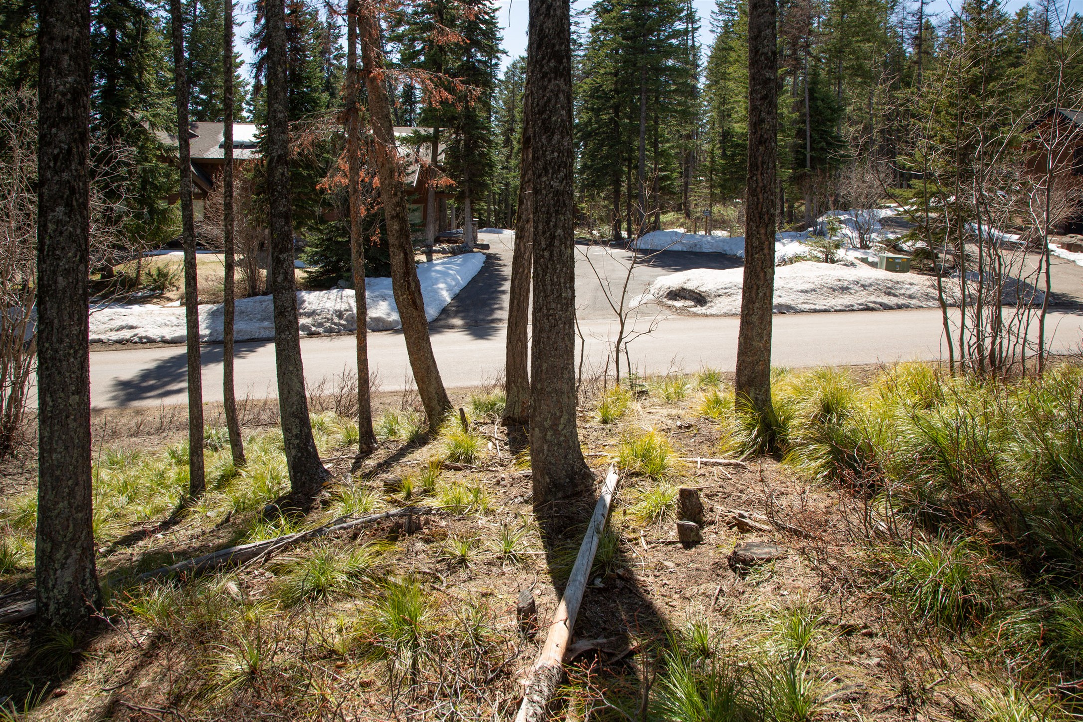 128 Ridge Run Drive Property Photo 8