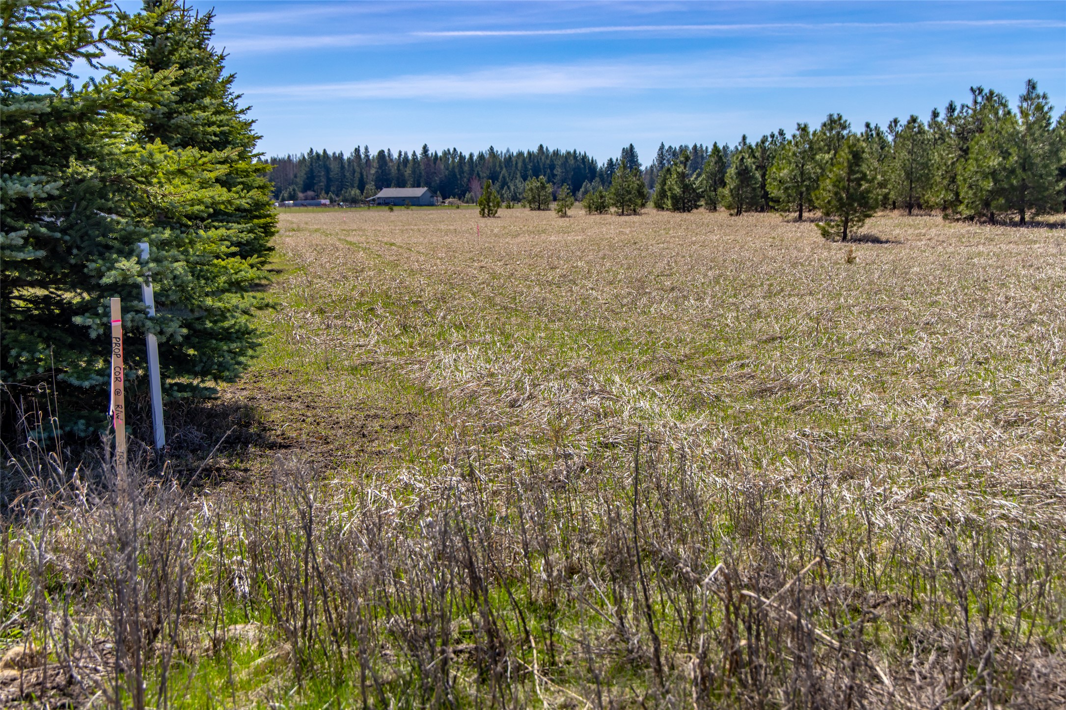 Nhn Trap Road Property Photo 33