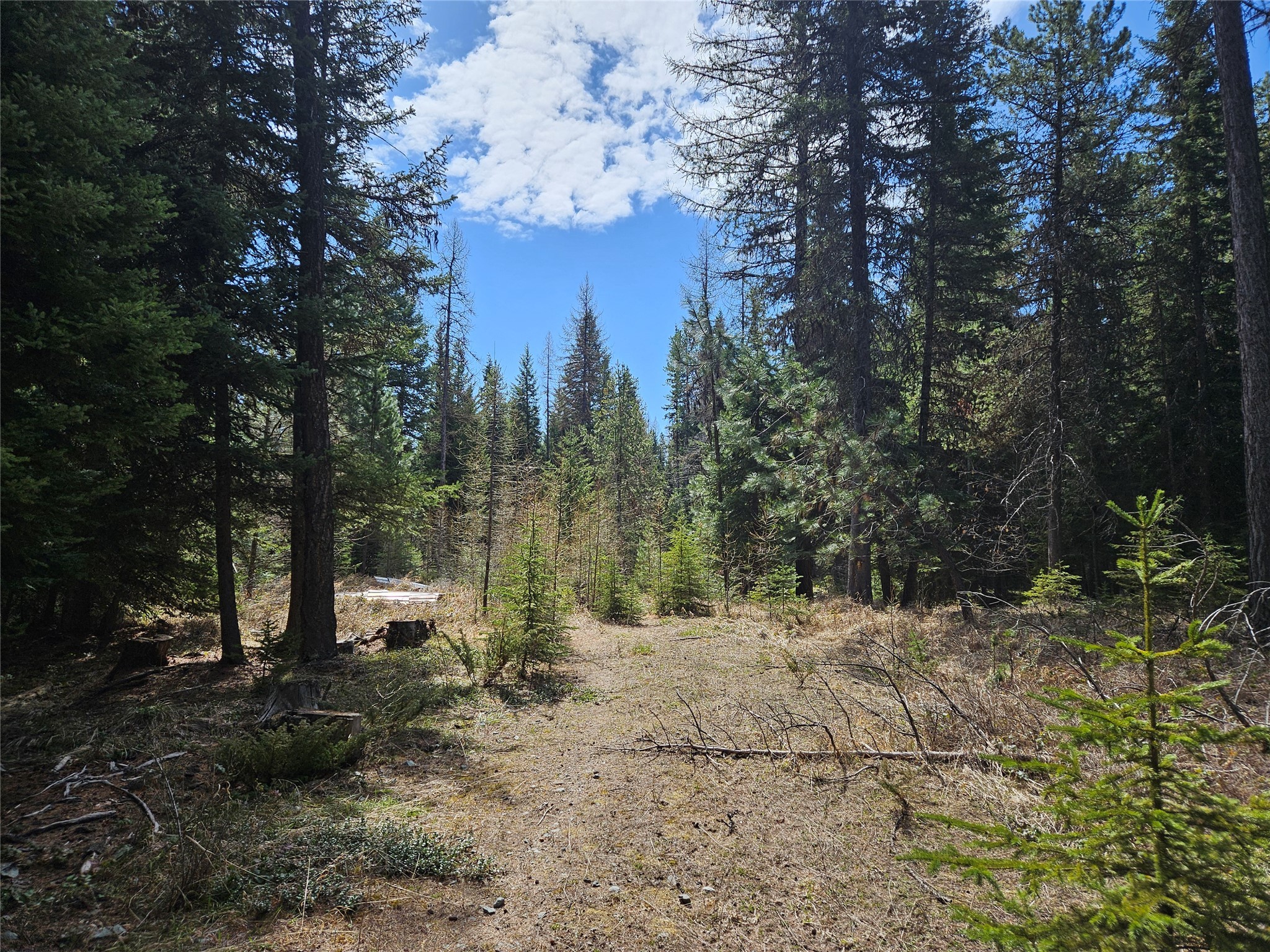 1371 Mountain Meadow Road Property Photo