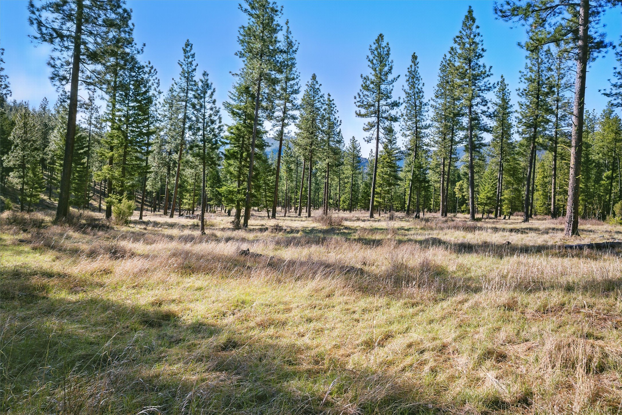 13902 Highland Trail Property Photo