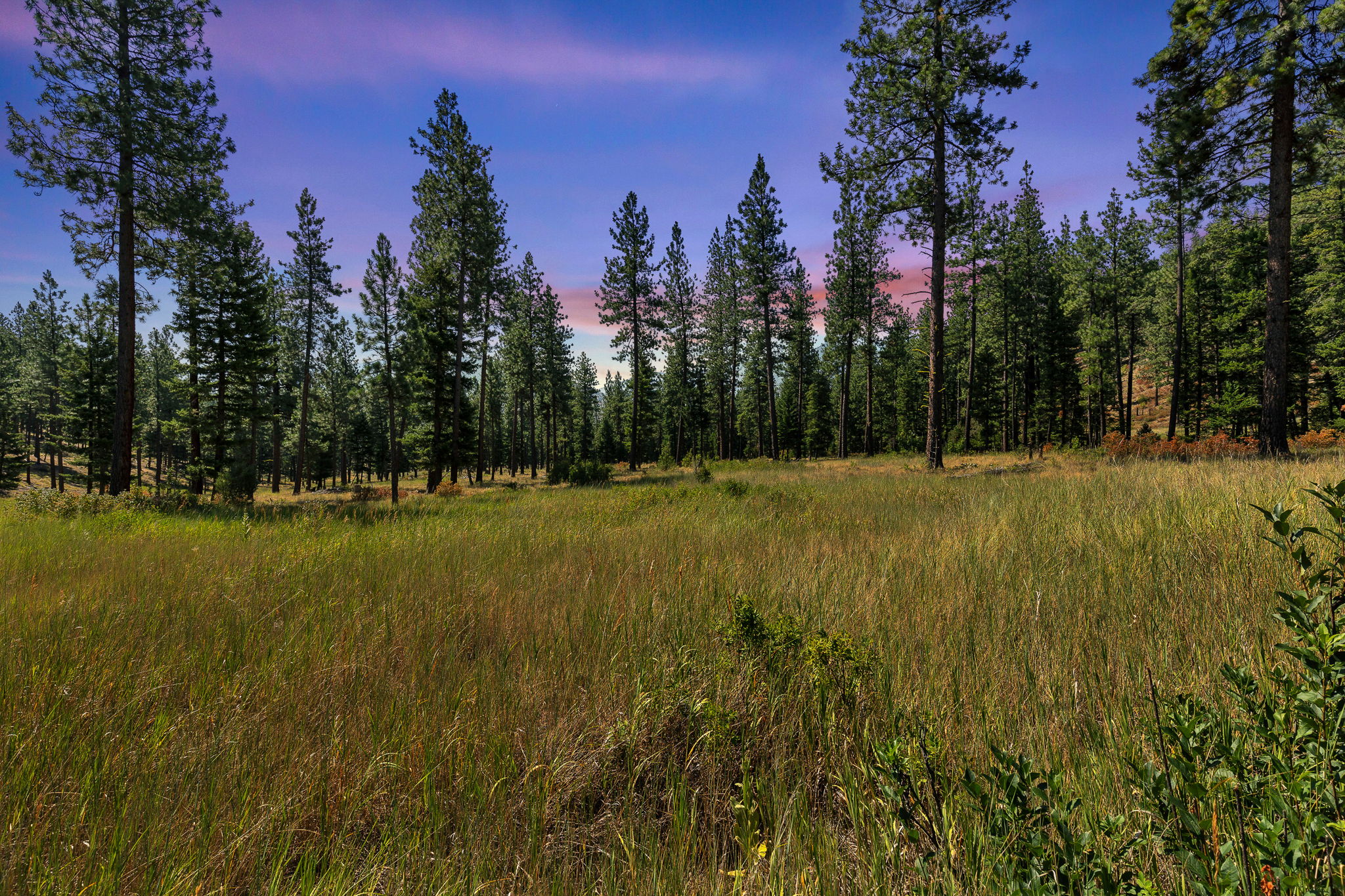 13902 Highland Trail Property Photo 1