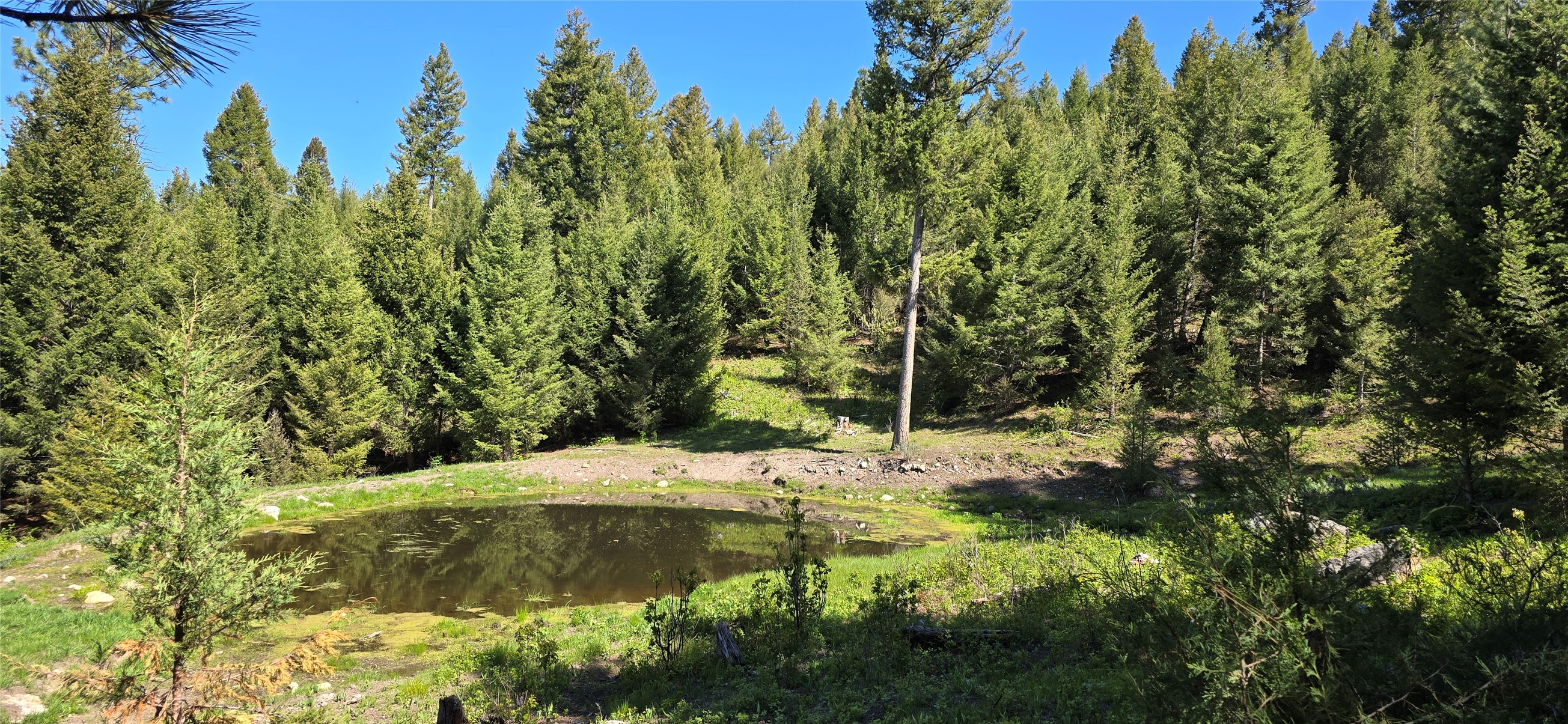 4 Tract, Bull Elk Property Photo 1