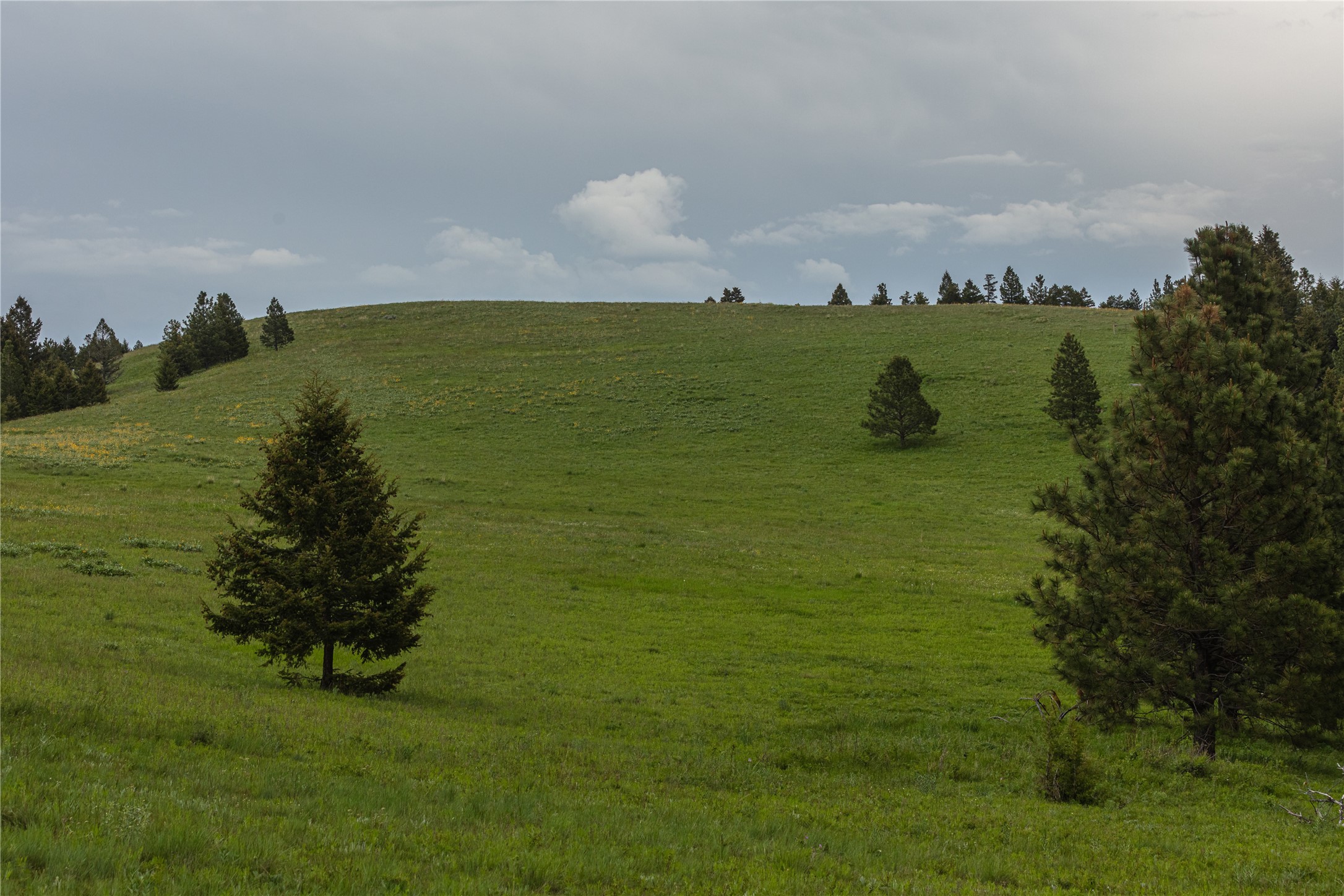6 Tract, Bull Elk Property Photo