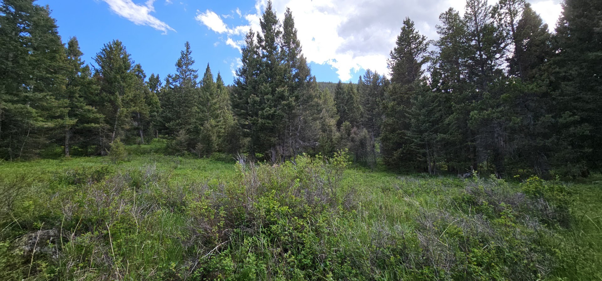 11 Tract, Hall Creek Property Photo 1
