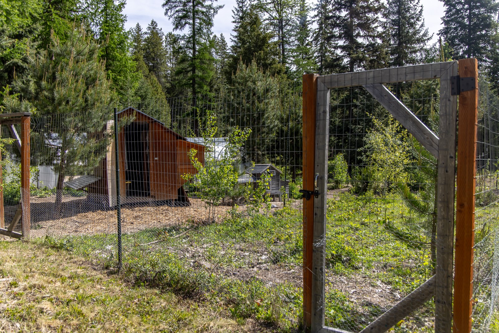 115 Wagon Wheel Road Property Photo 21