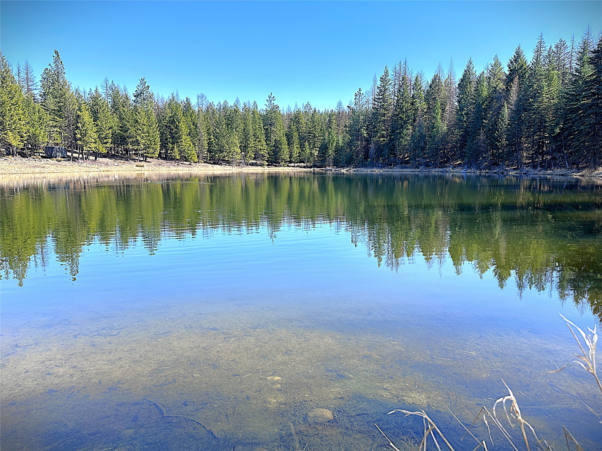 Nhn W Dodge Creek Road Property Photo 1