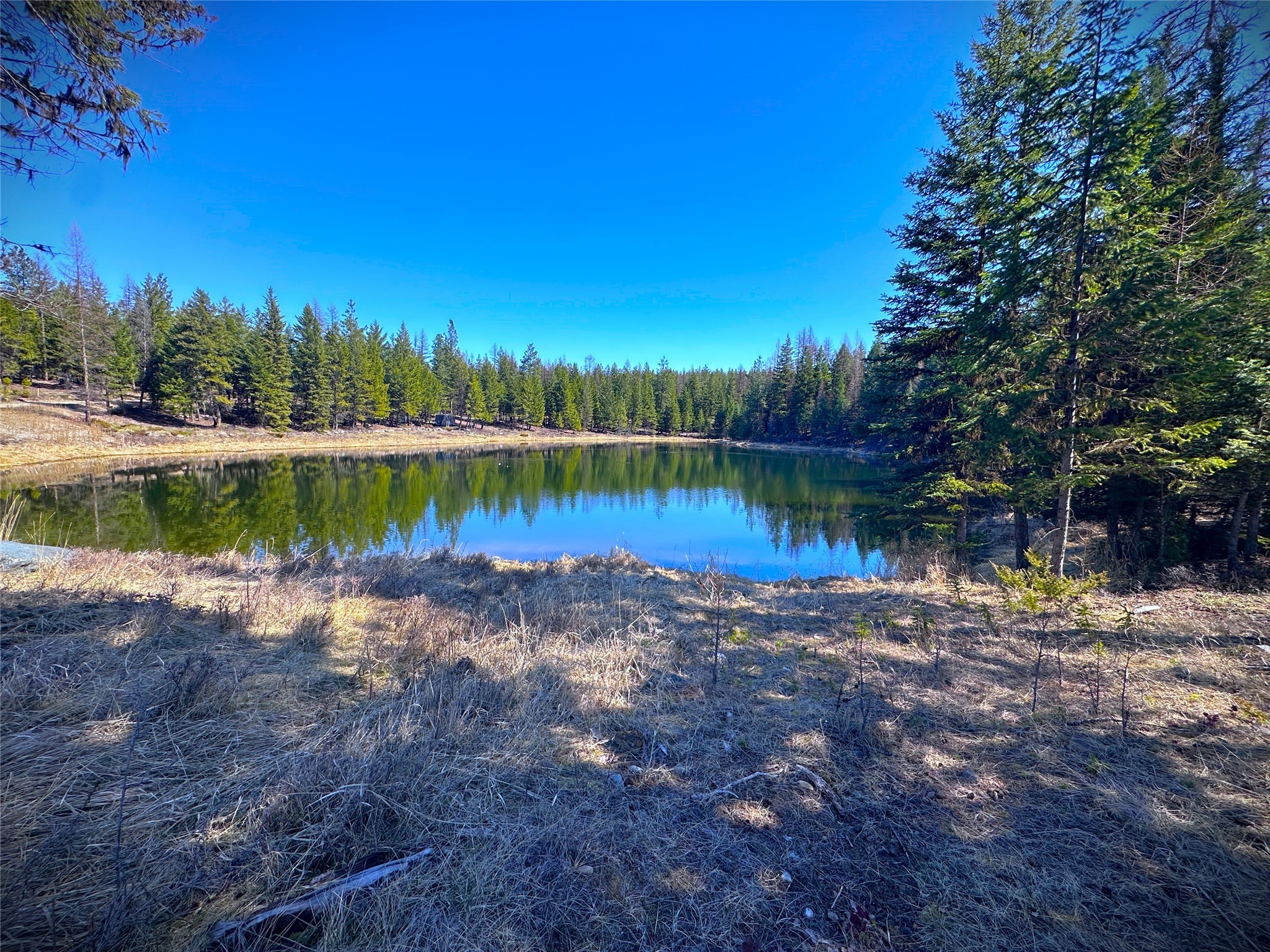 Nhn W Dodge Creek Road Property Photo 2