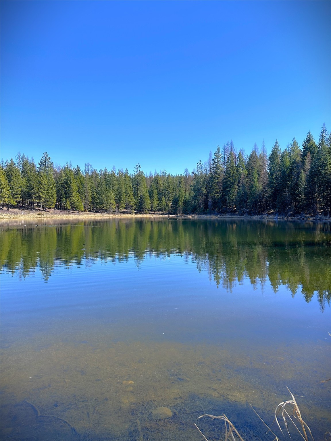 Nhn W Dodge Creek Road Property Photo 4