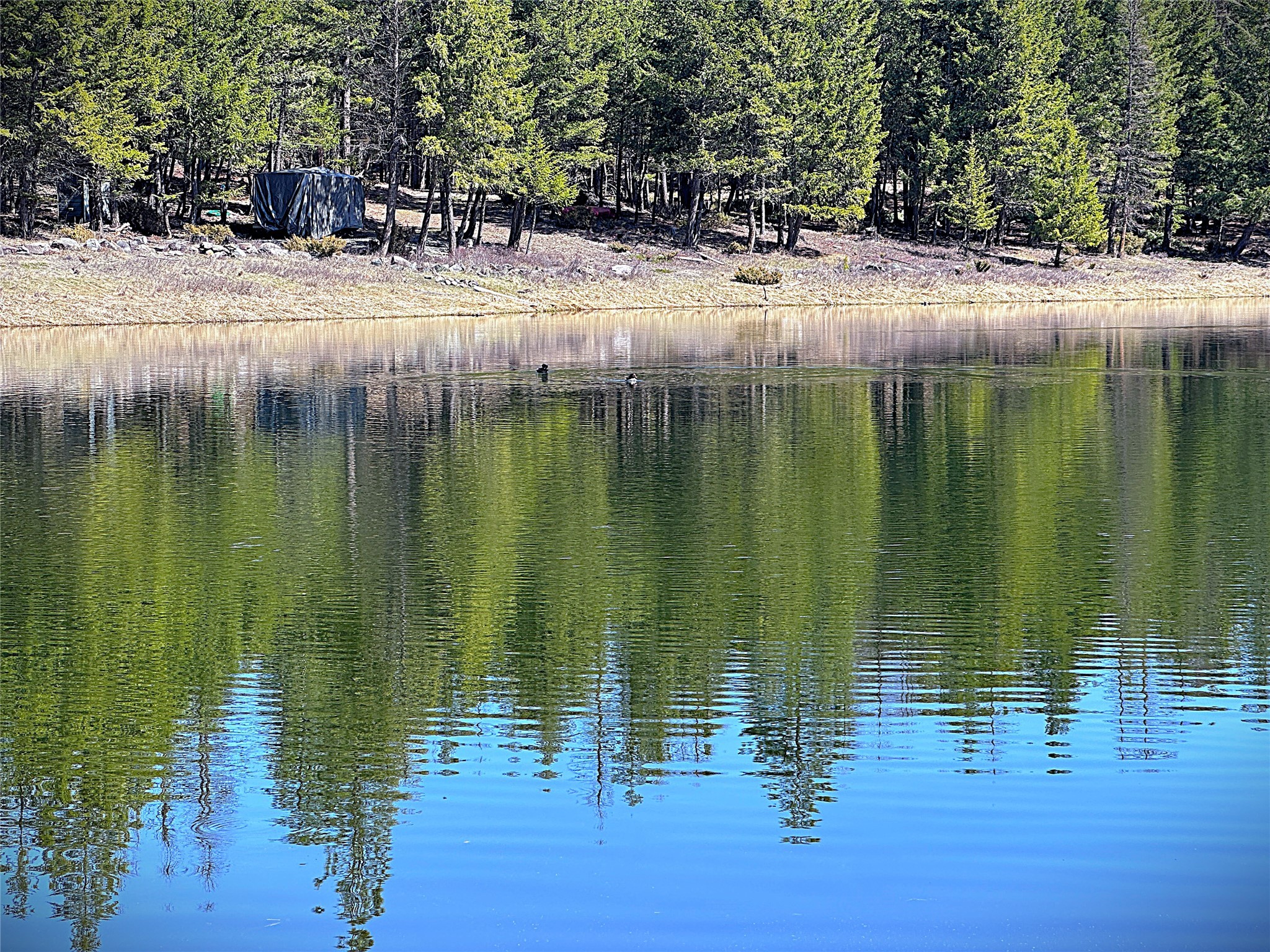 Nhn W Dodge Creek Road Property Photo 7