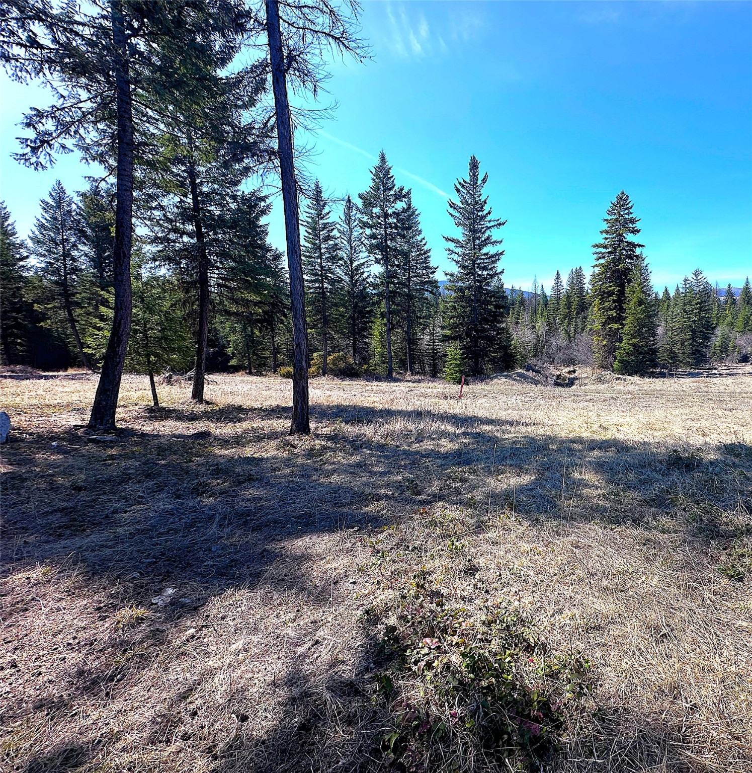 Nhn W Dodge Creek Road Property Photo 10