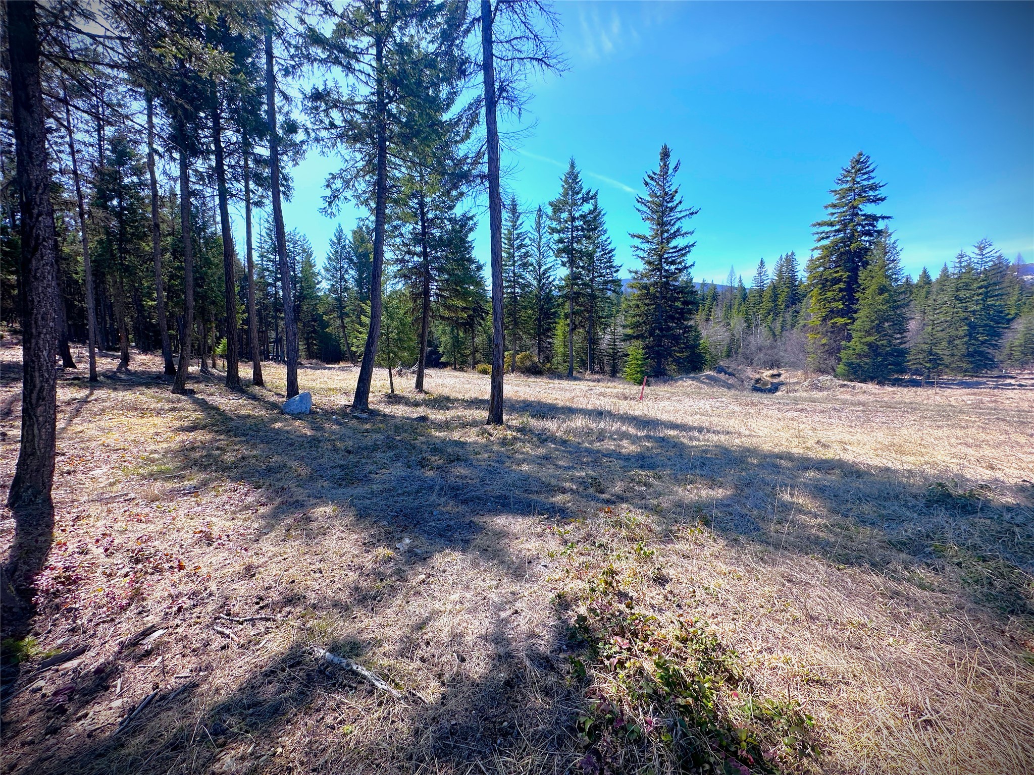 Nhn W Dodge Creek Road Property Photo 11