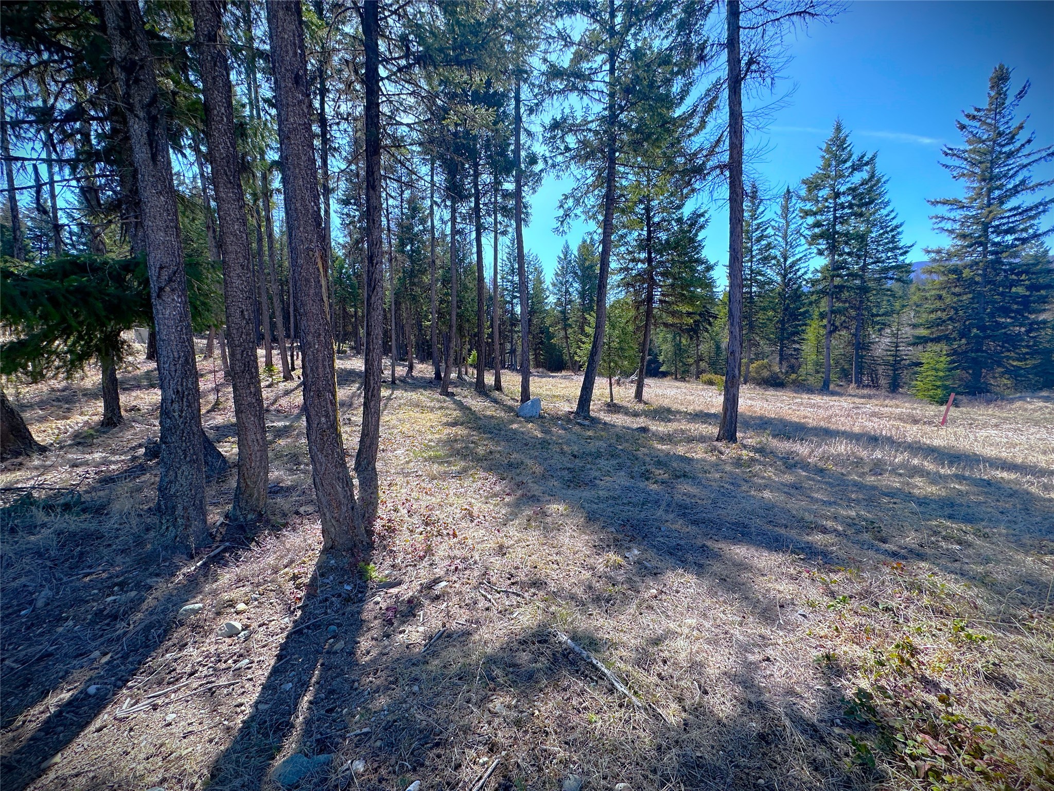 Nhn W Dodge Creek Road Property Photo 12