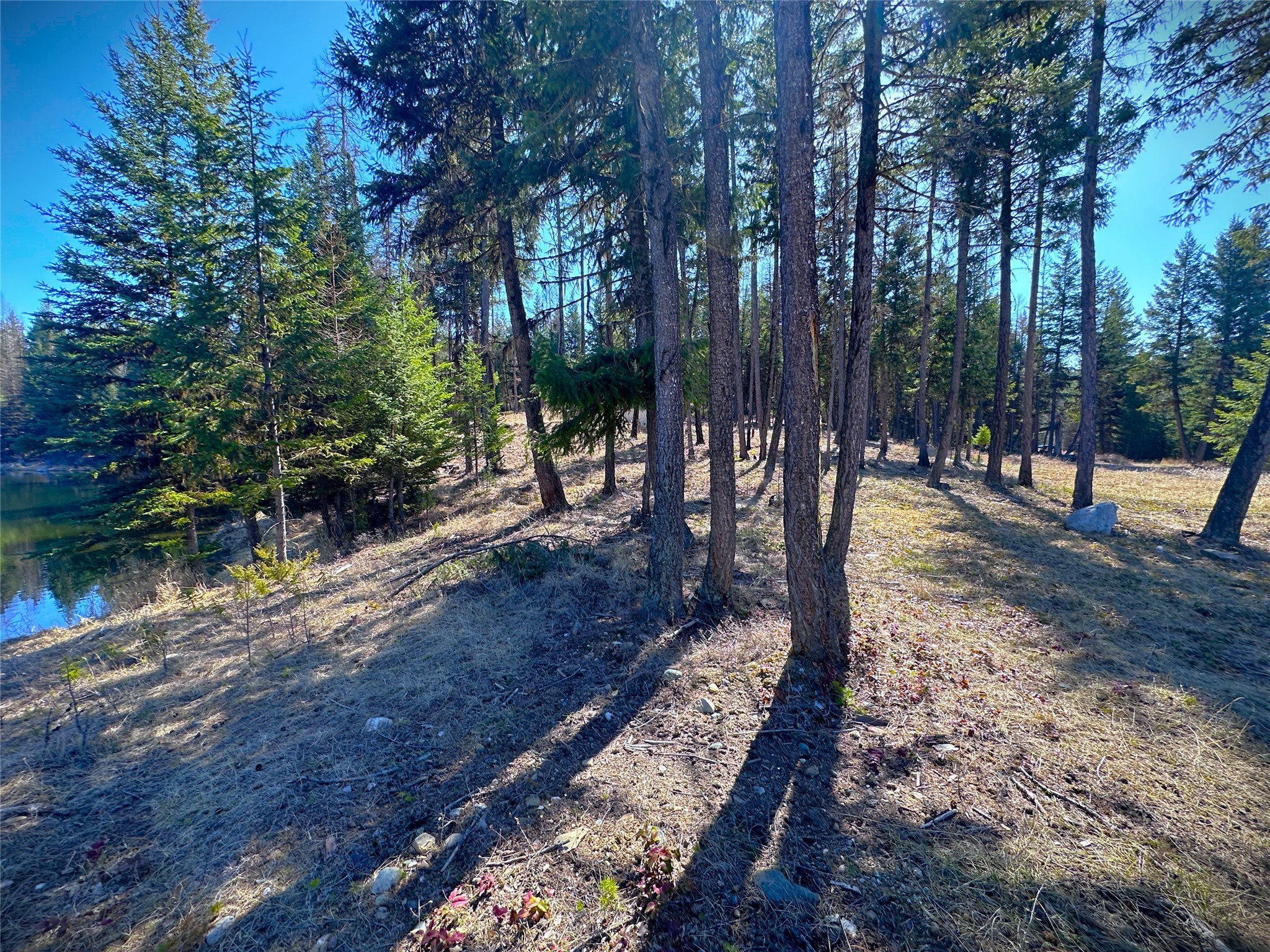 Nhn W Dodge Creek Road Property Photo 13