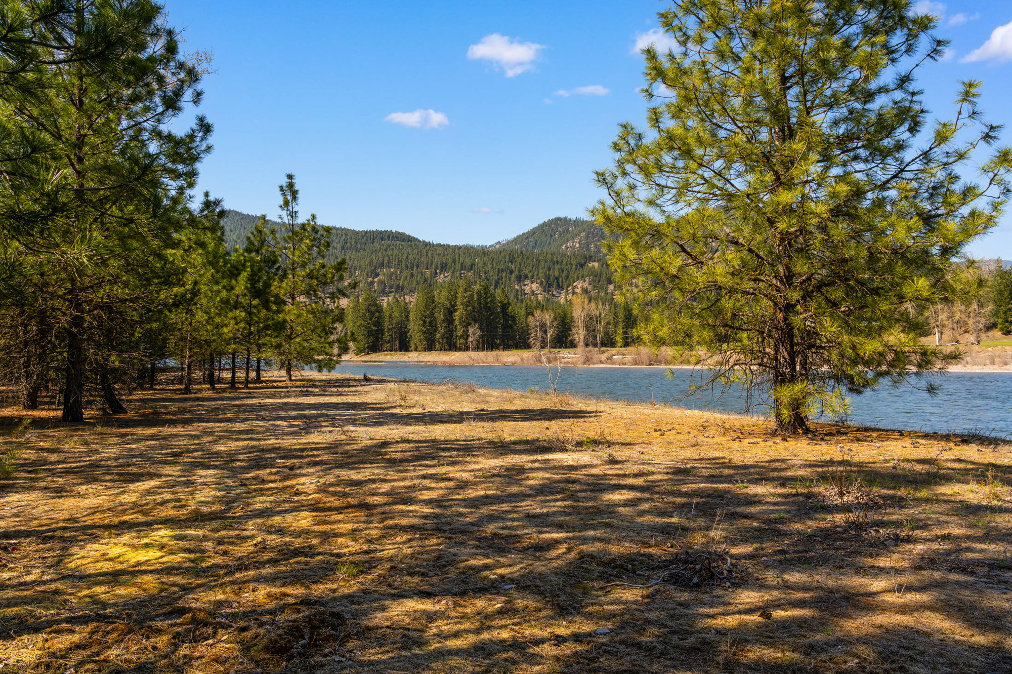 Lot 45 Old Mill Loop Property Photo