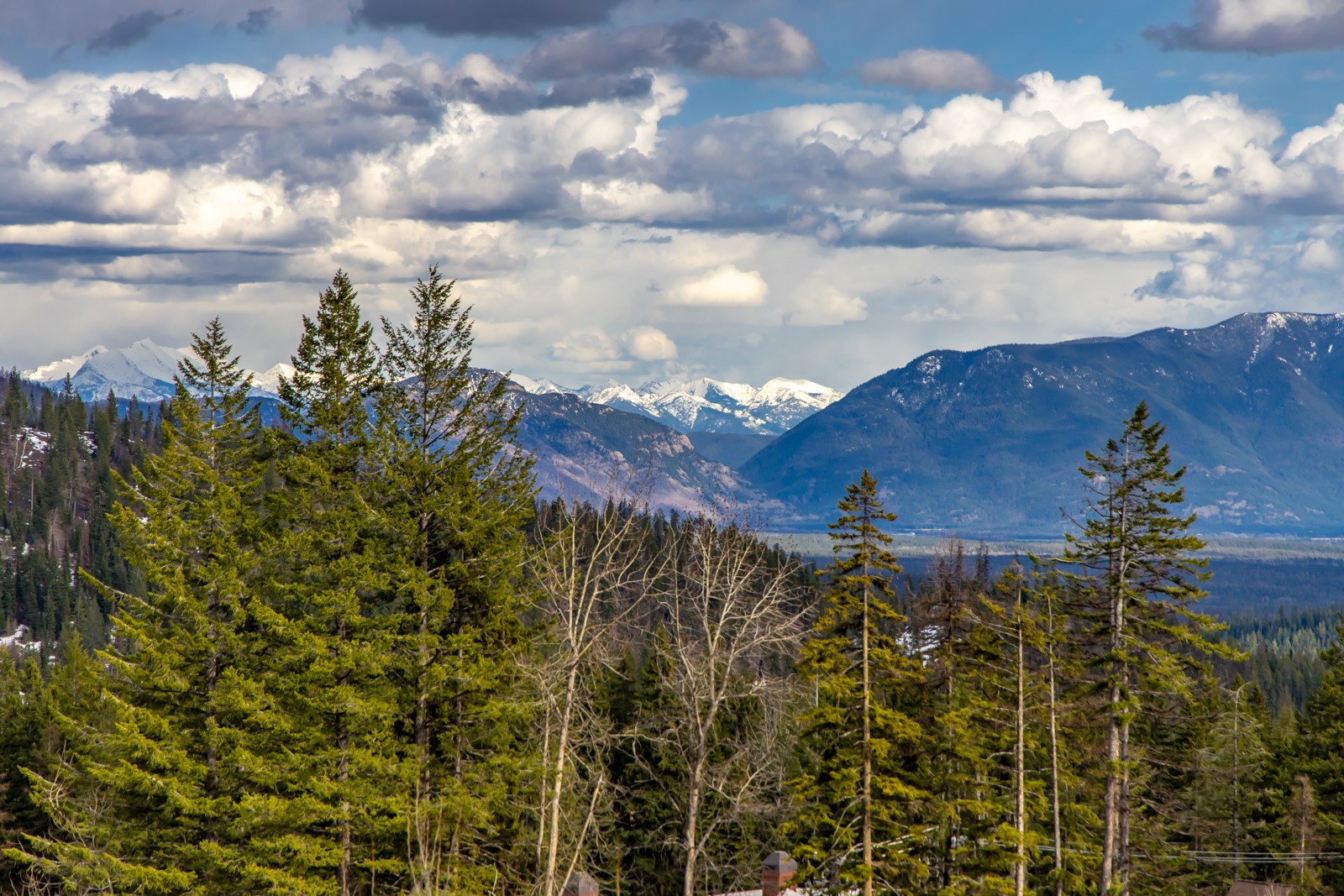 3868 Gelande Street 6 Property Photo 48