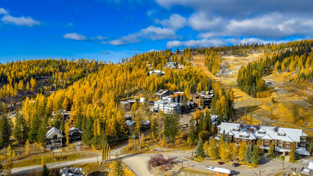 3868 Gelande Street 6 Property Photo 57