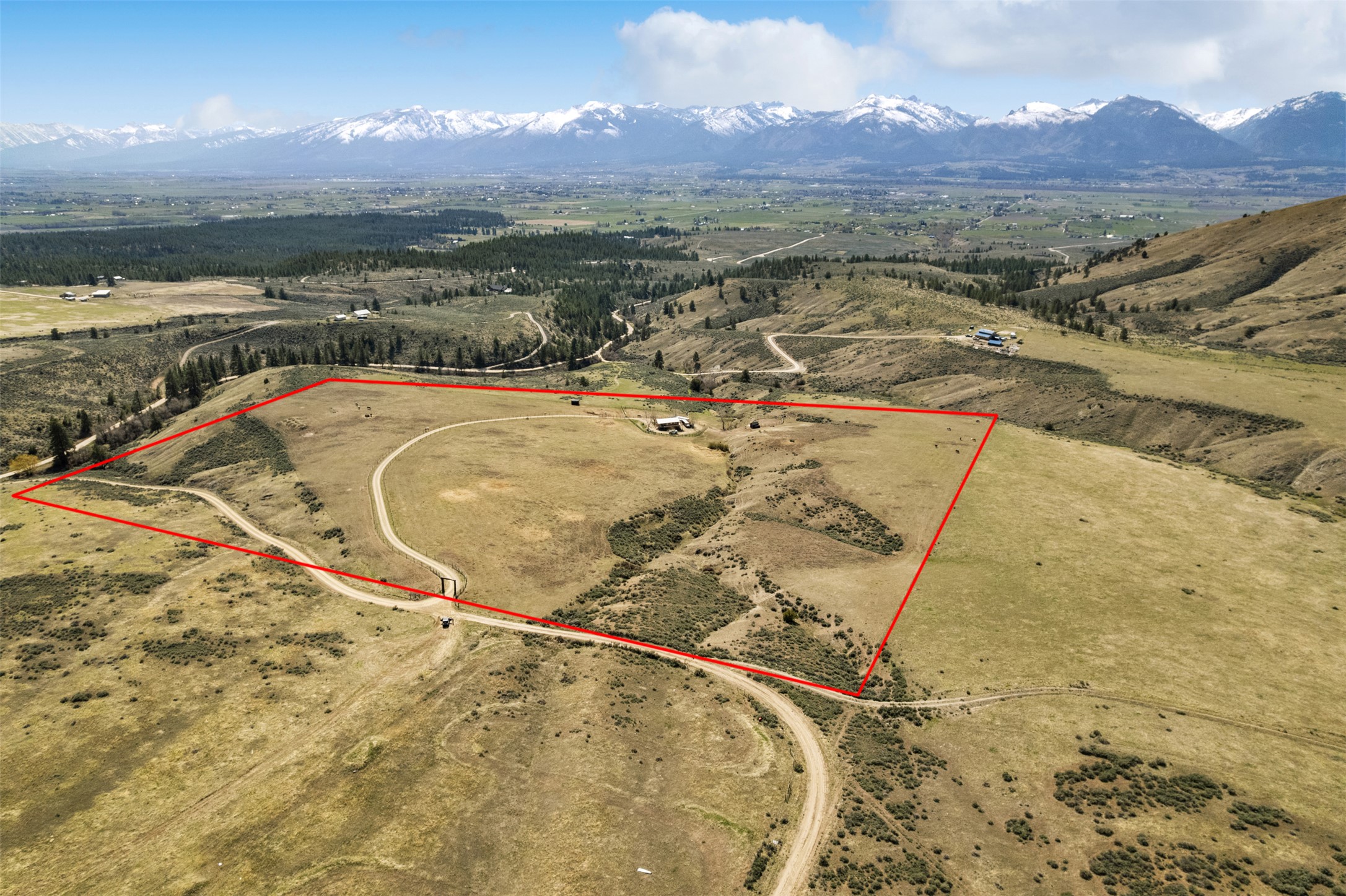 1300 Blue Sage Trail Property Photo 5