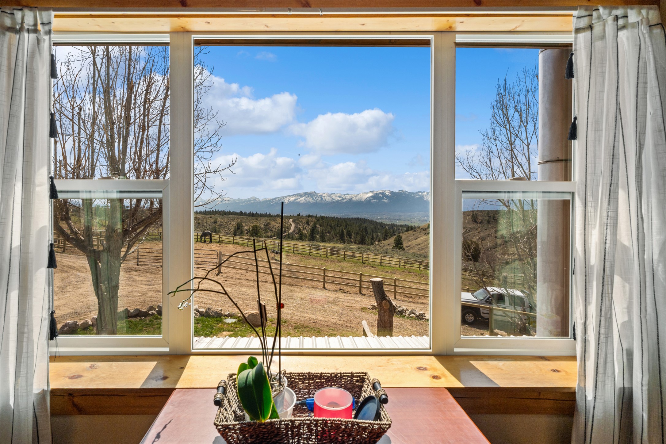1300 Blue Sage Trail Property Photo 8