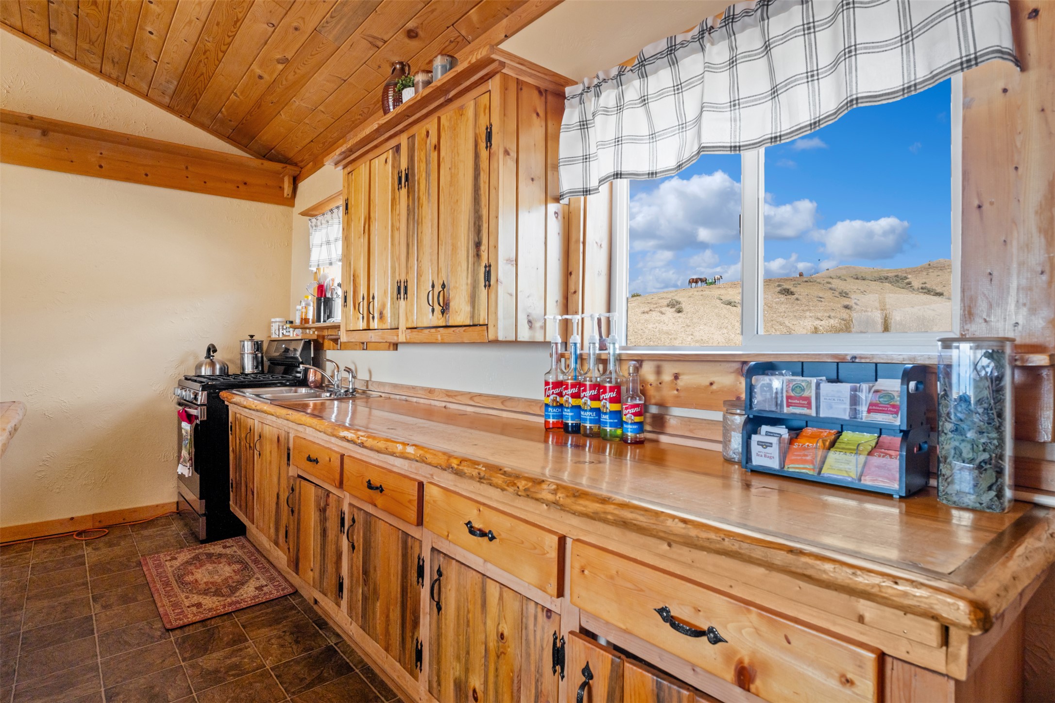 1300 Blue Sage Trail Property Photo 10