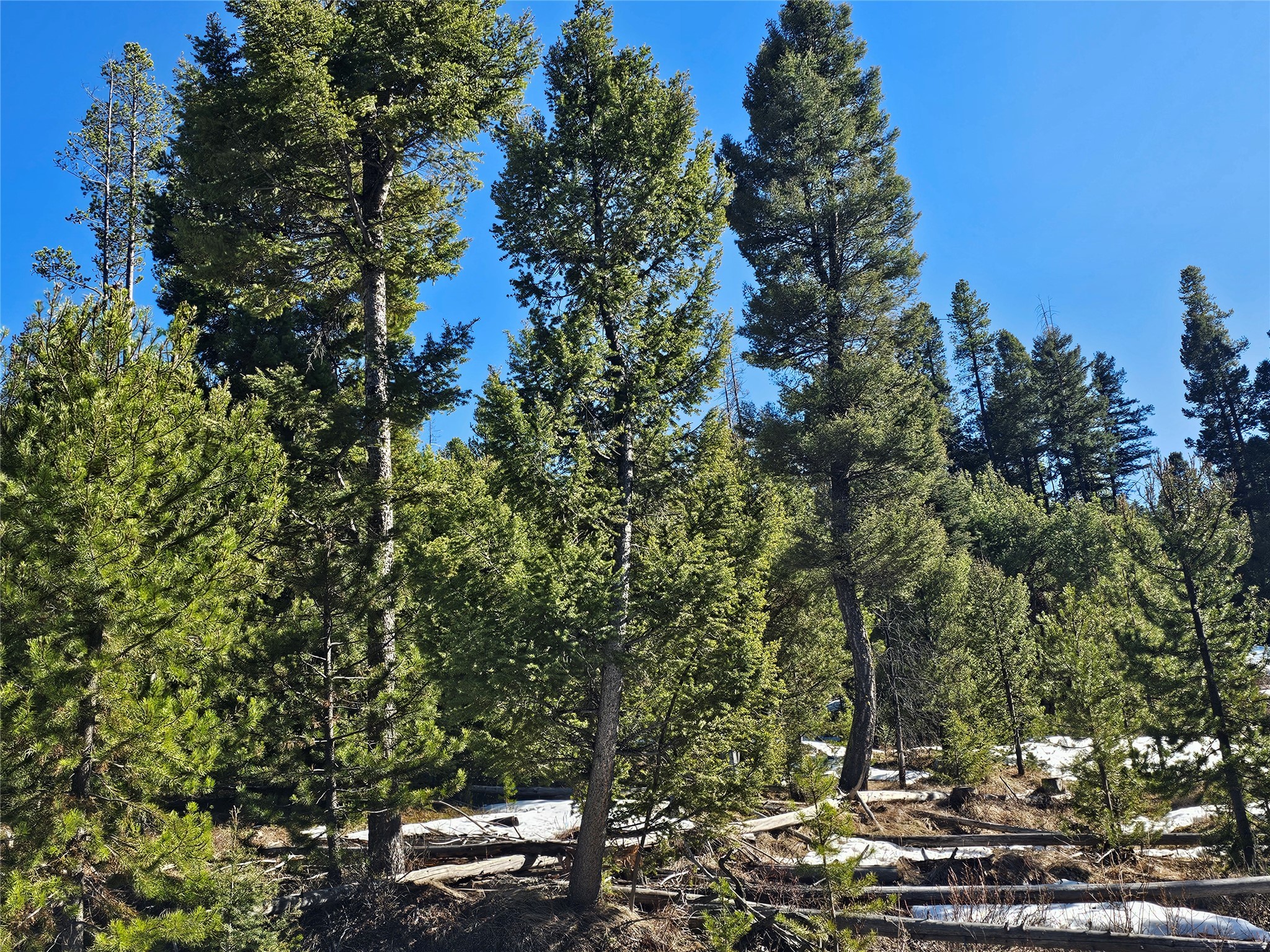 Nhn Elk Horn Road Property Photo