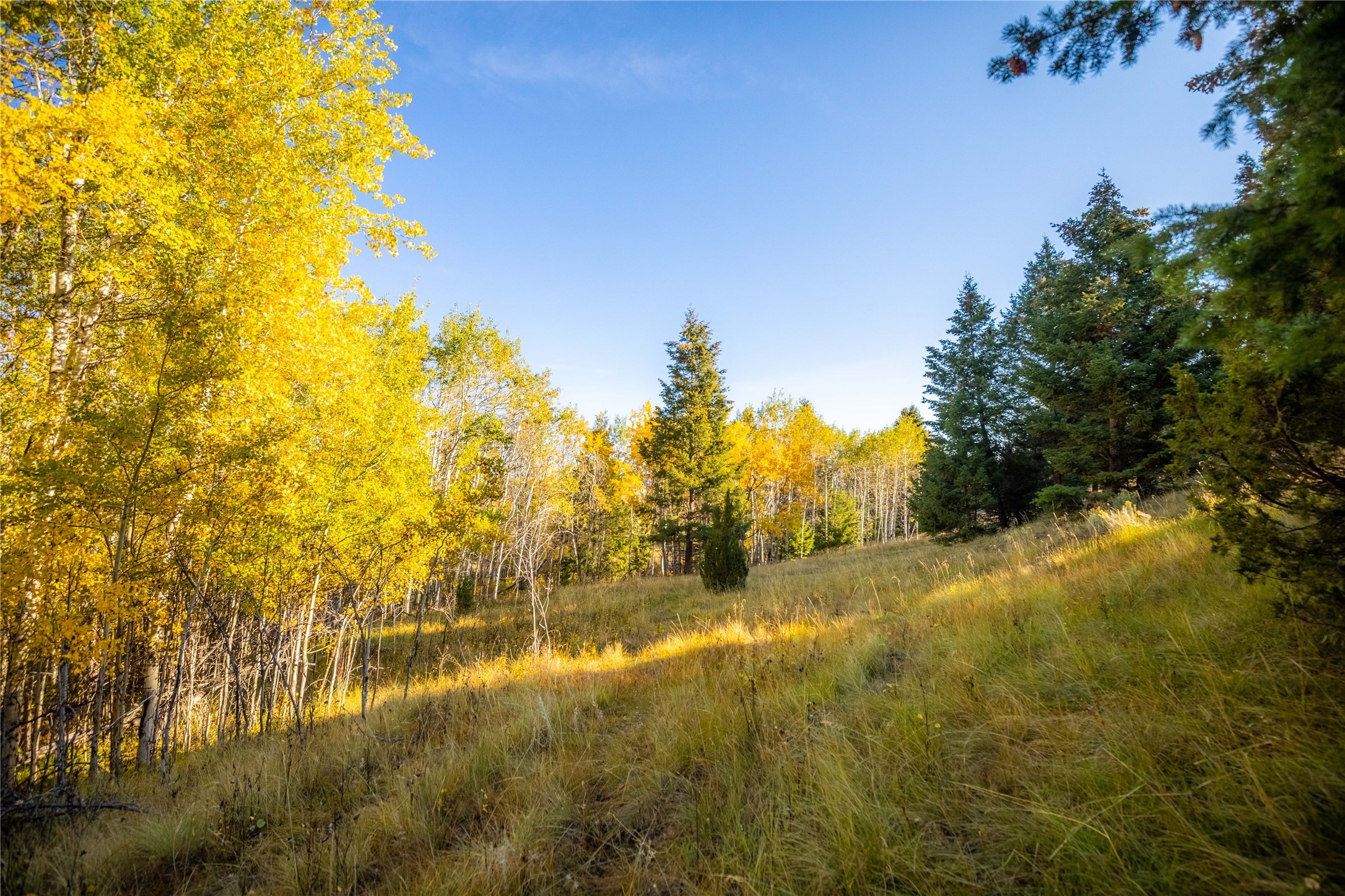 Nhn Lone Pine Gulch Road Property Photo 1