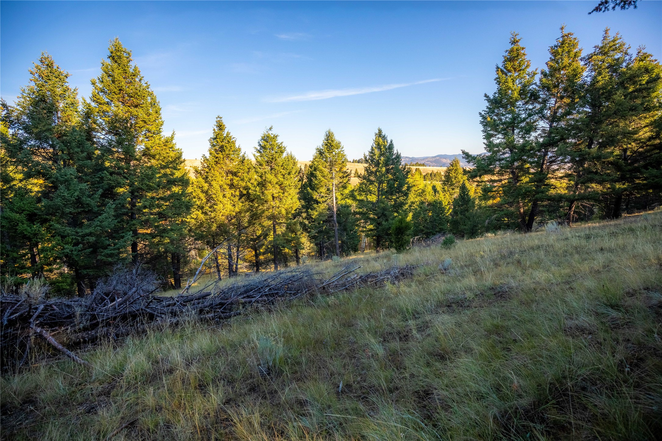 Nhn Lone Pine Gulch Road Property Photo 11